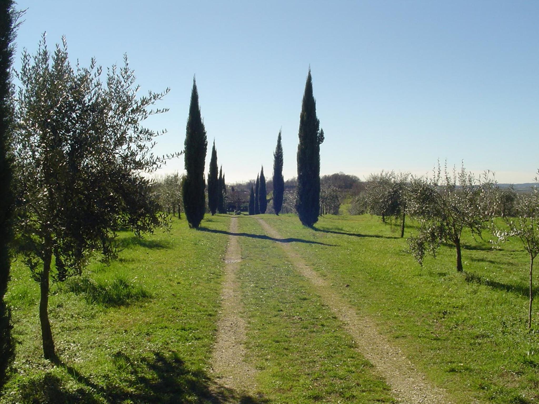 Photo 30