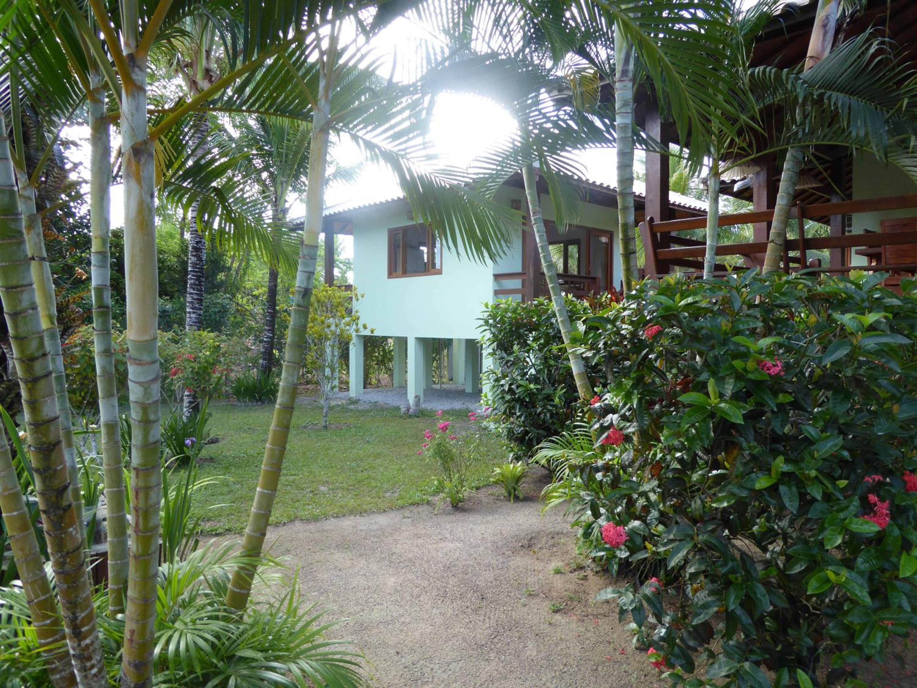 Photo 11