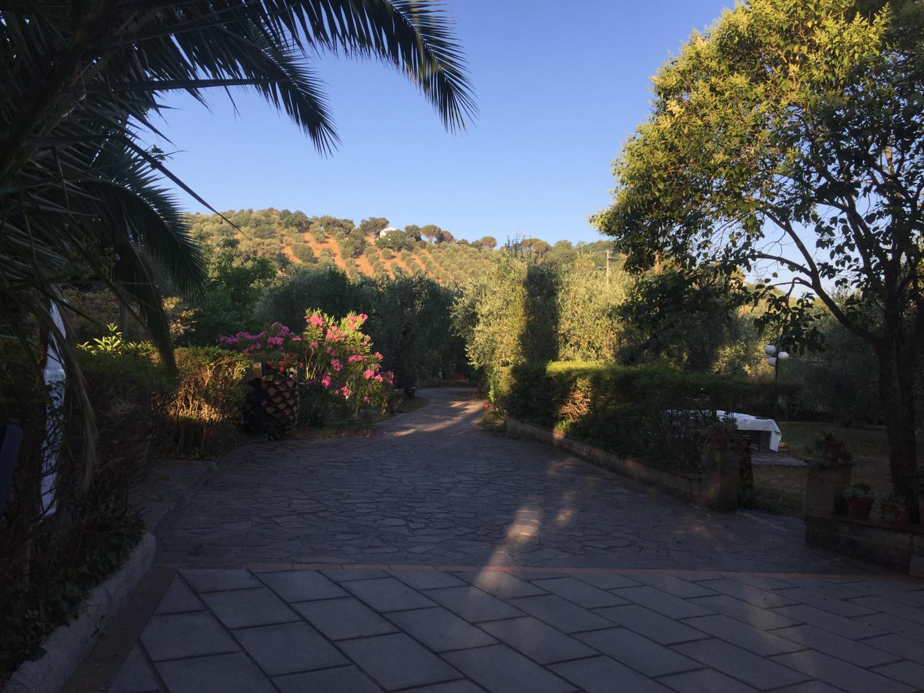 Agriturismo Buen Camino