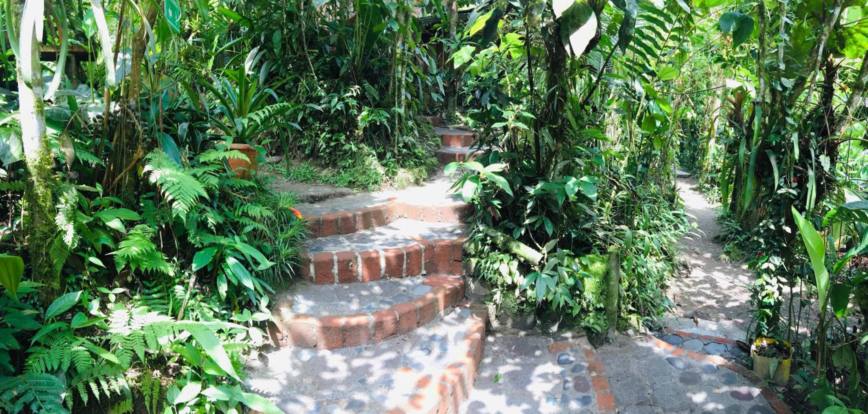 Cabañas Armonía y Jardín de Orquídeas