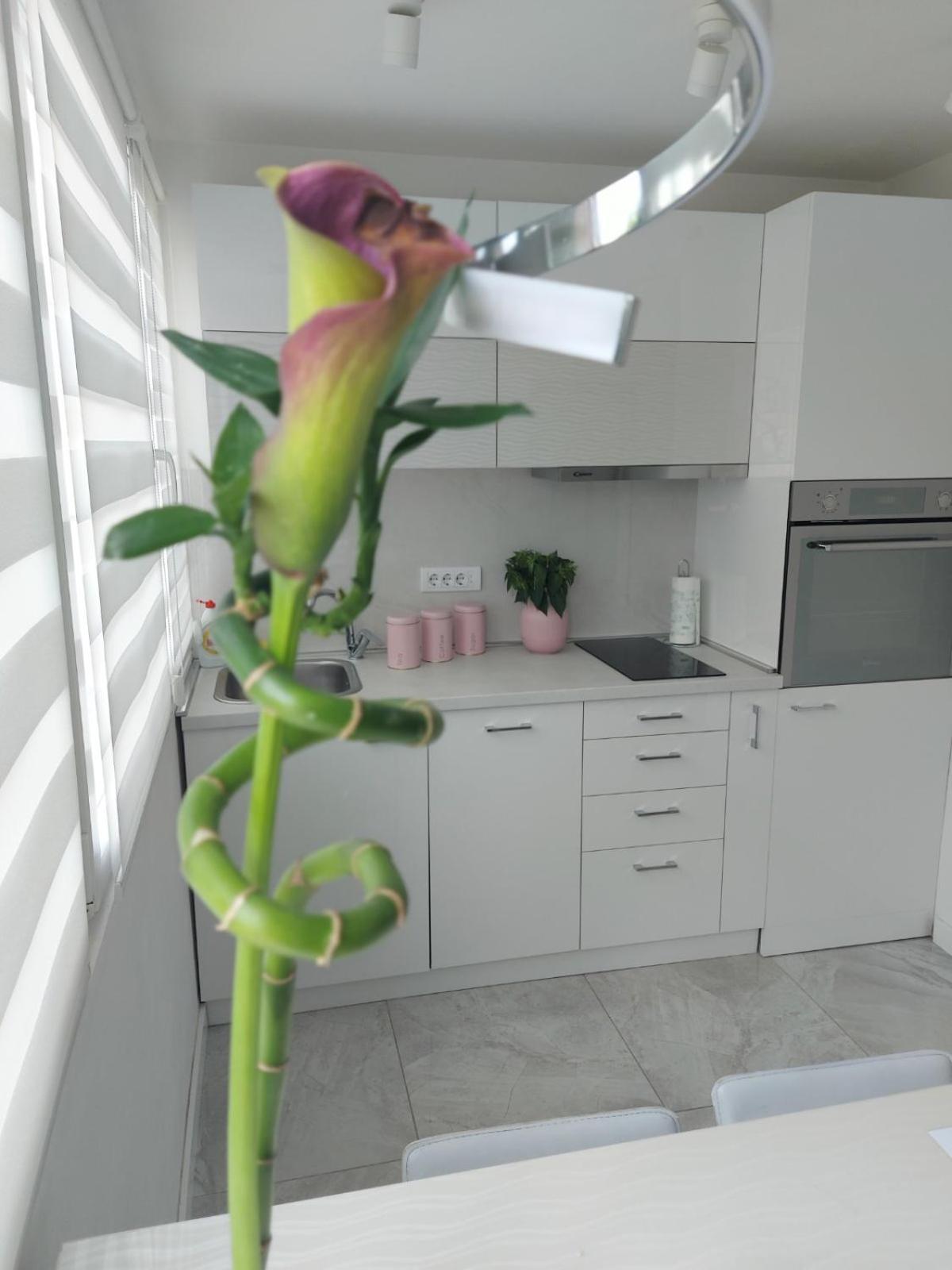 Apartment De Luna Belgrade view 5