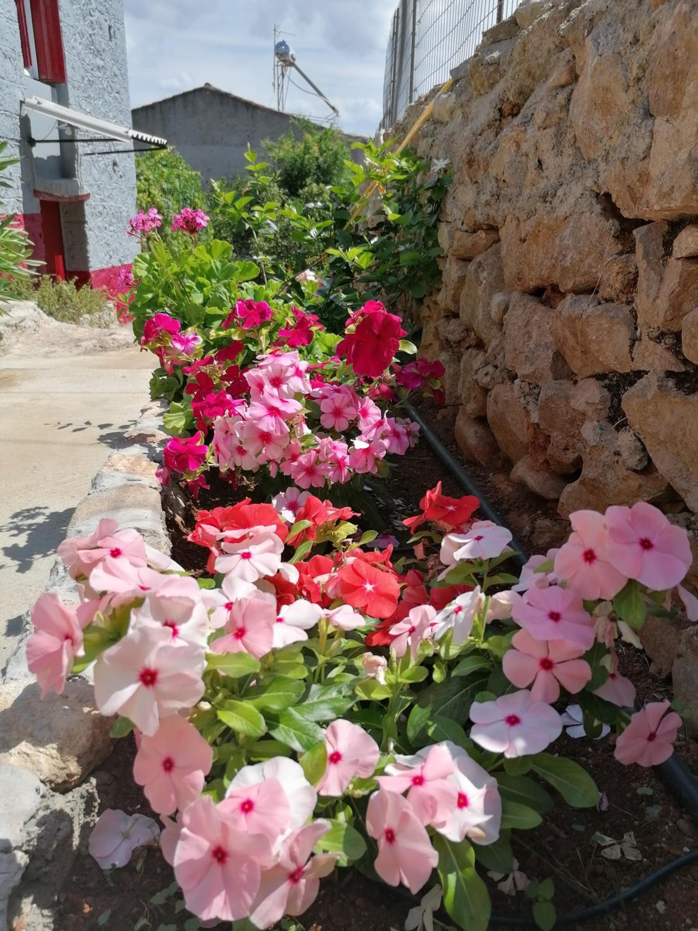 Photo 21