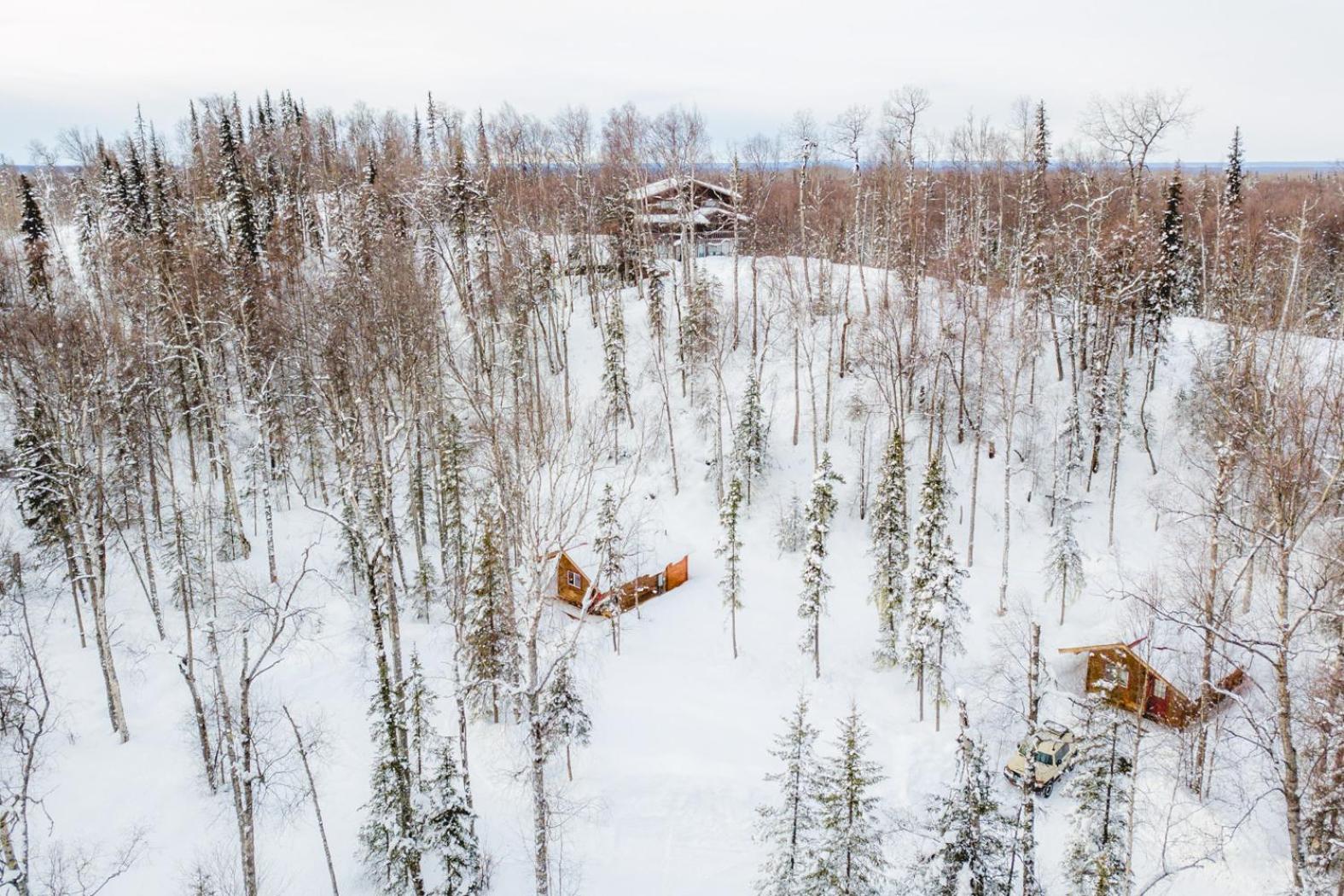 Spruce Cabin view 2