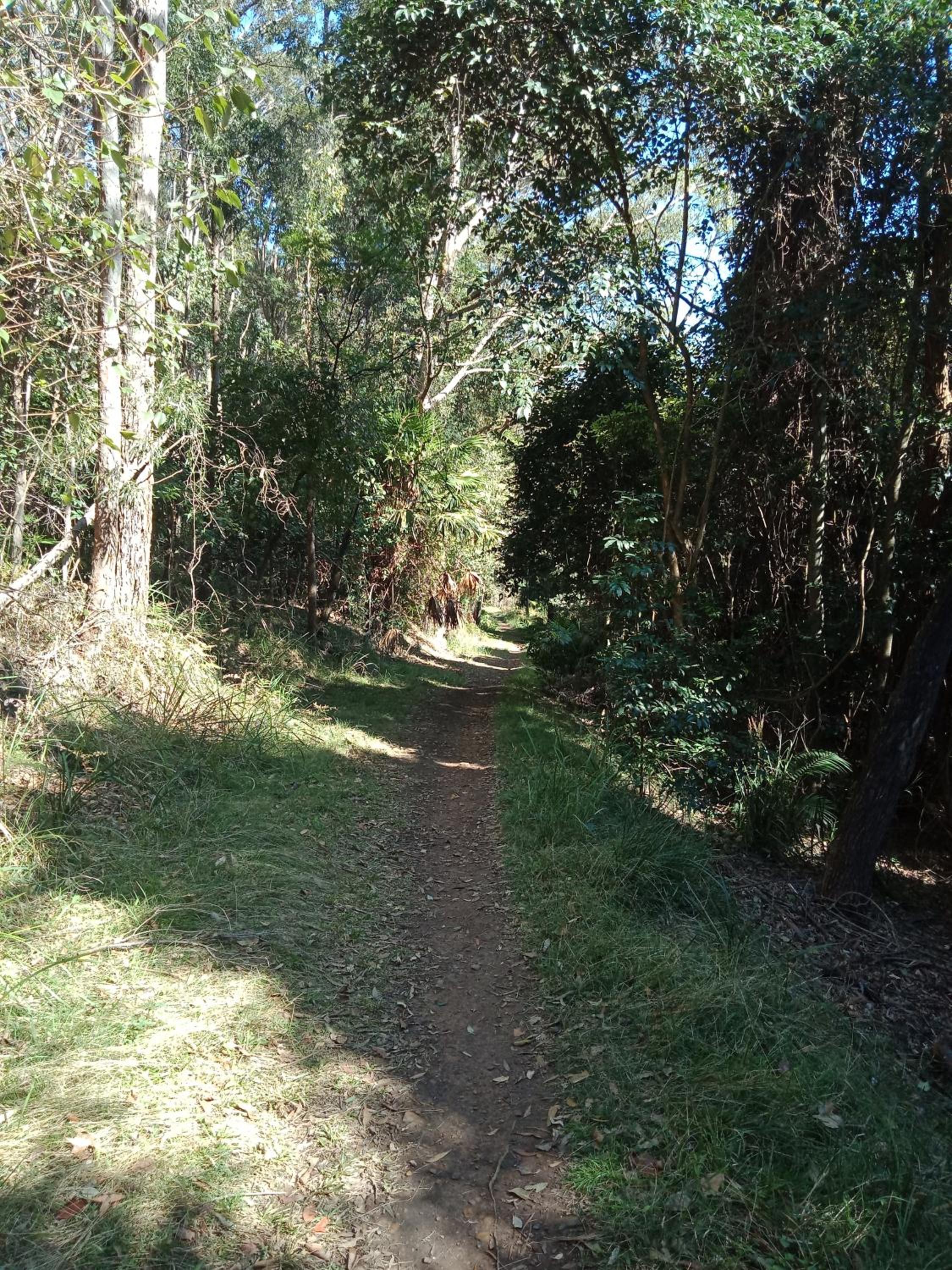Photo 29