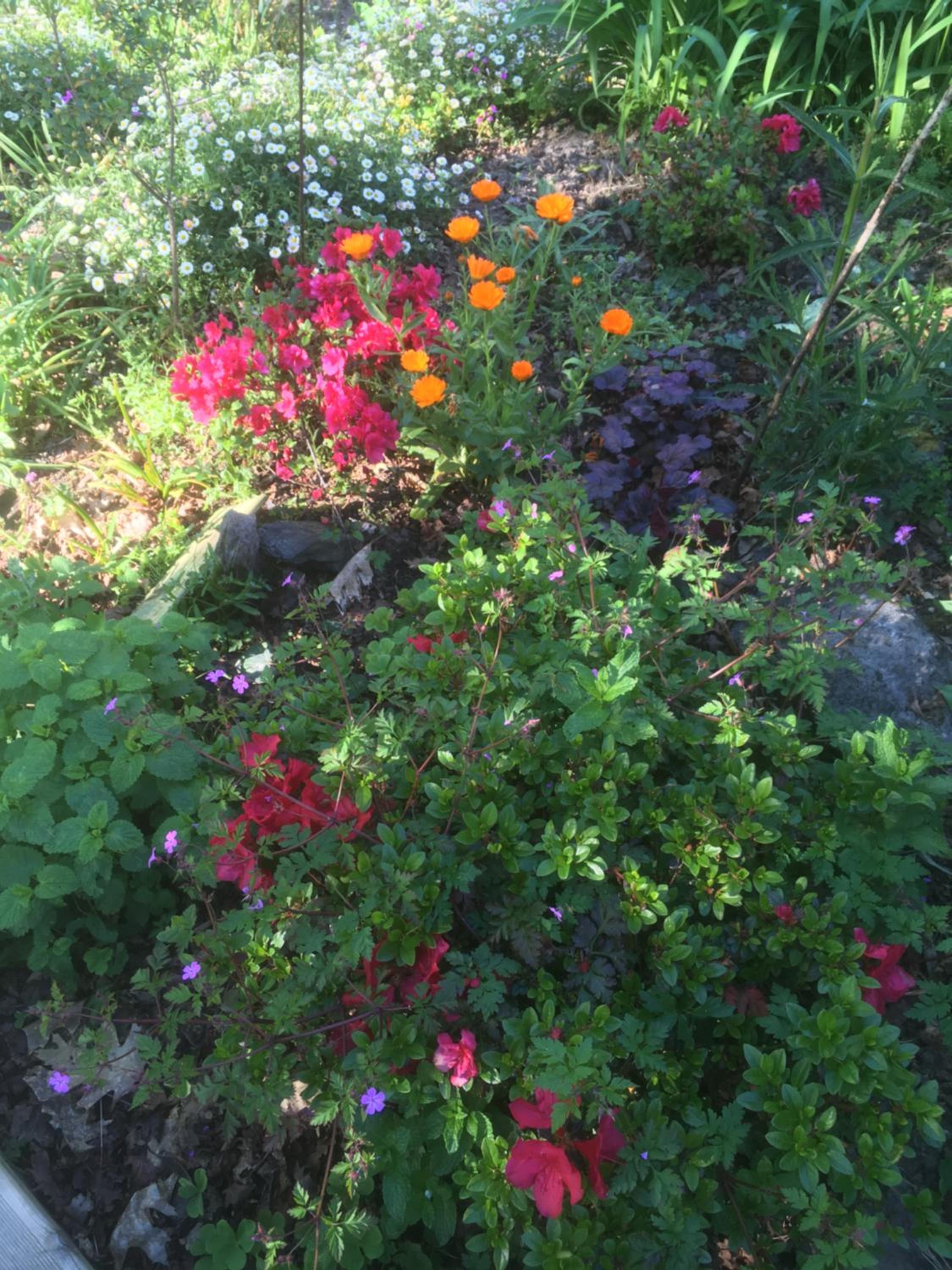 Photo 6