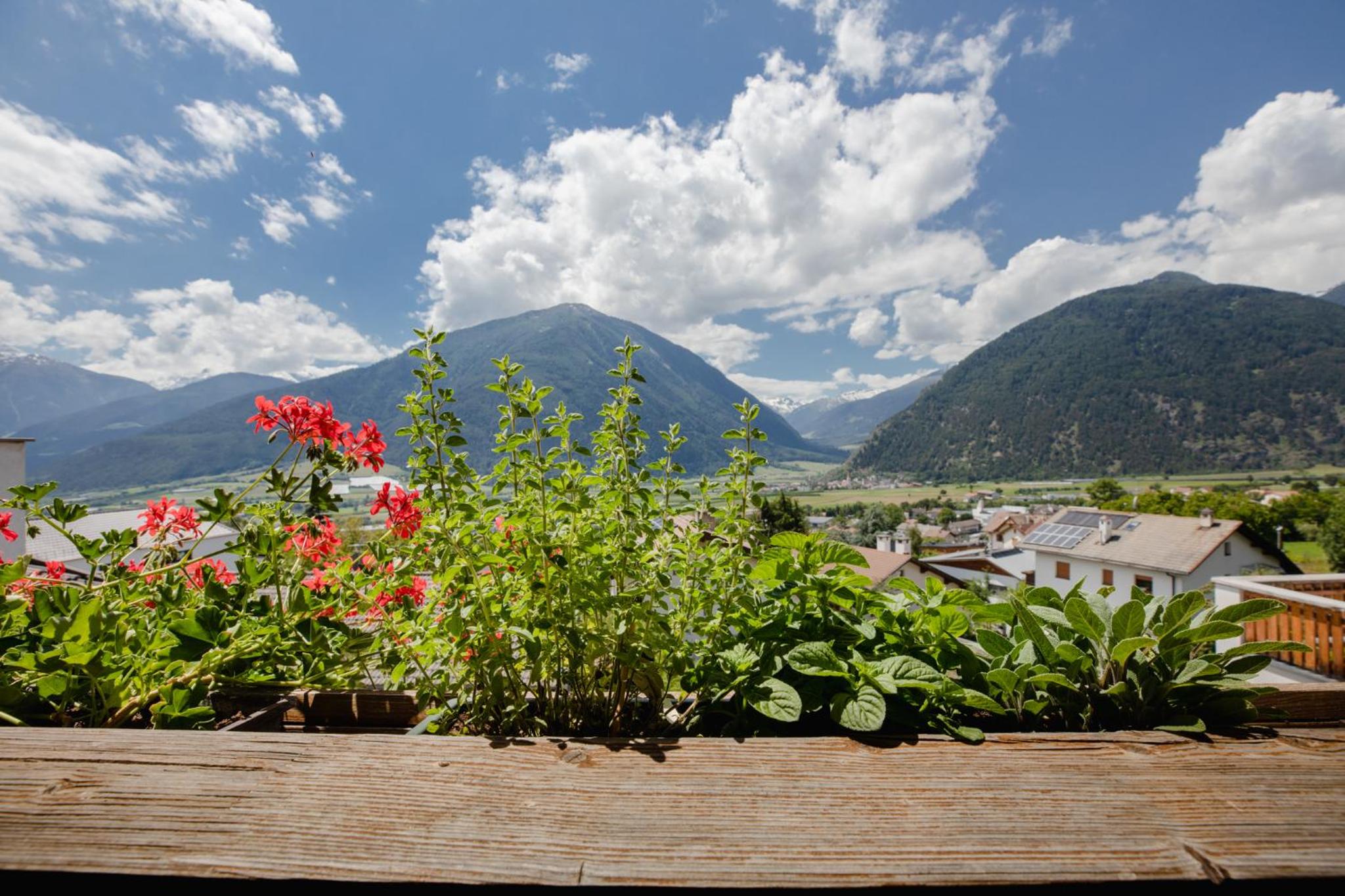 Ferienwohnungen Ortlerblick