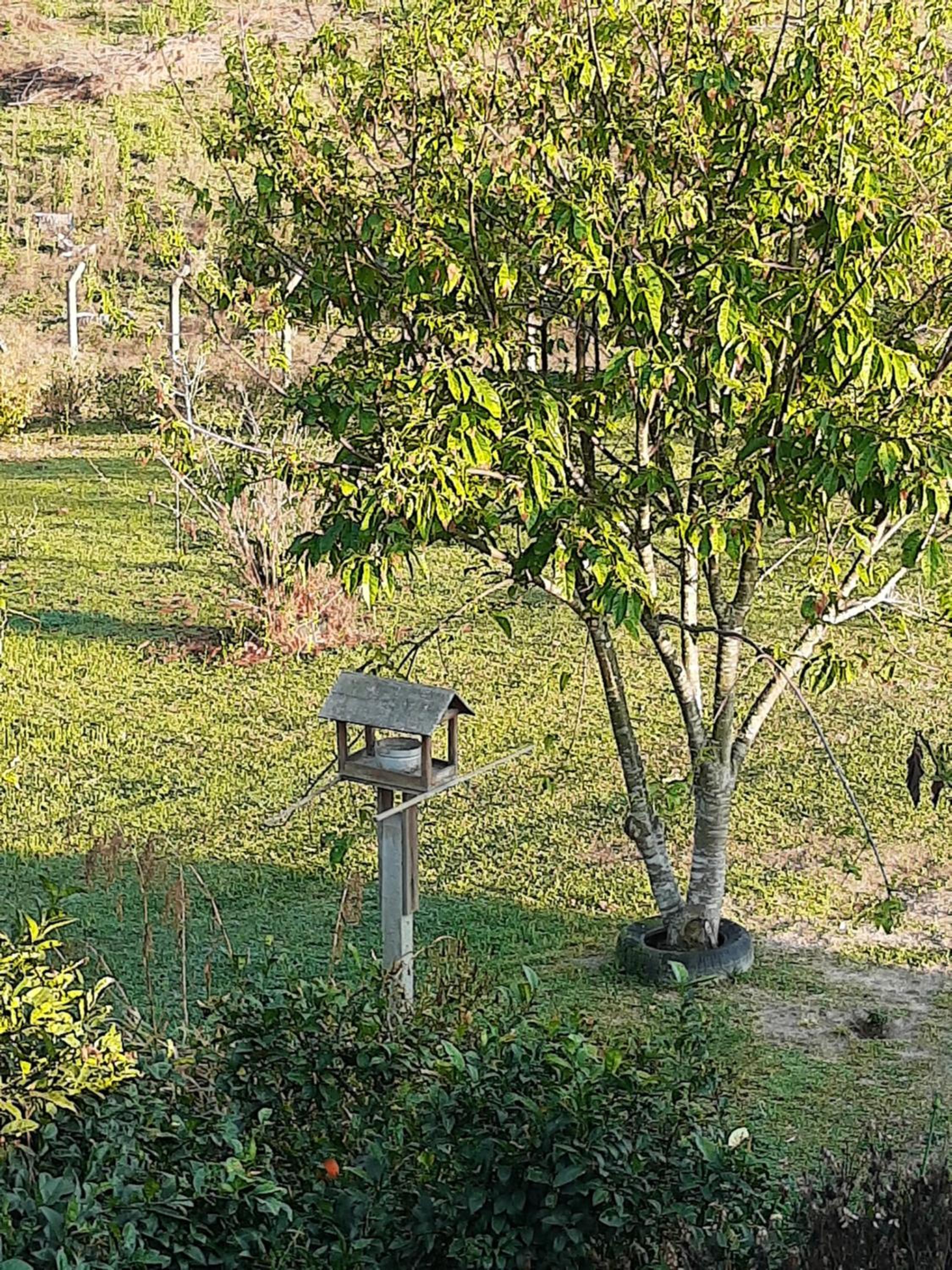 CHÁCARA QUEDINHA D'ÁGUA