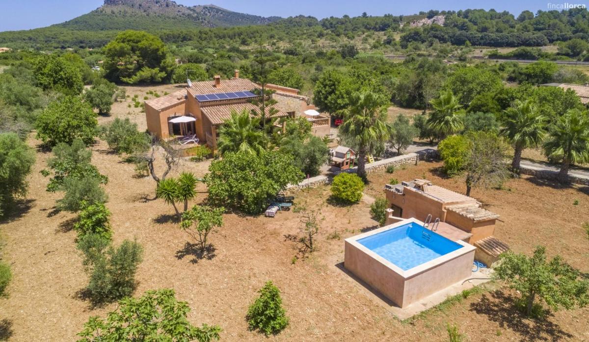 Ses Cames Roges photo 2