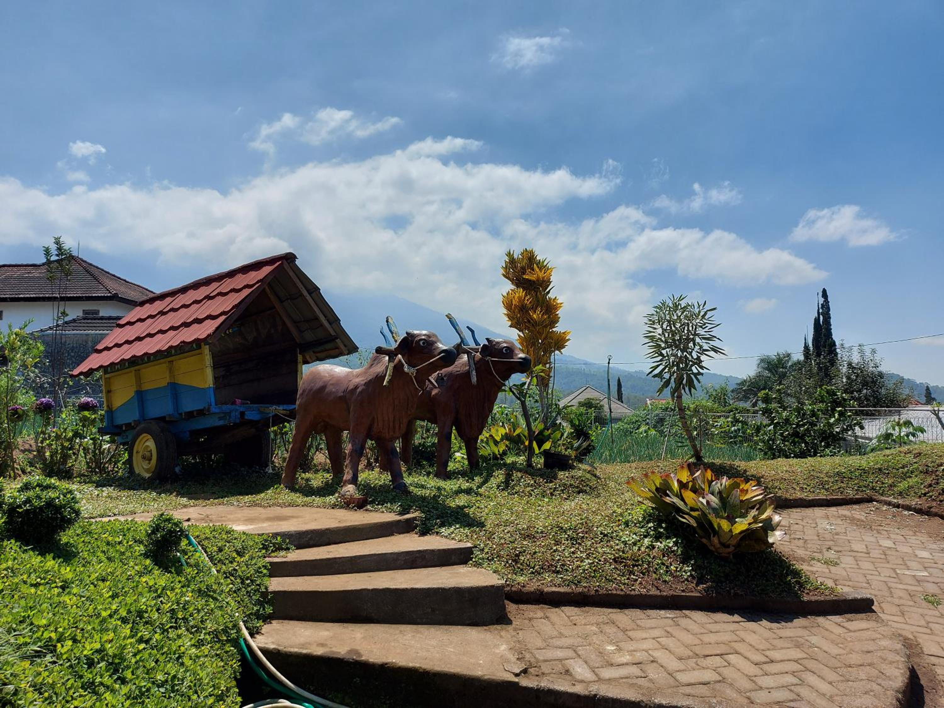 Omah Kayoe Elok view 4