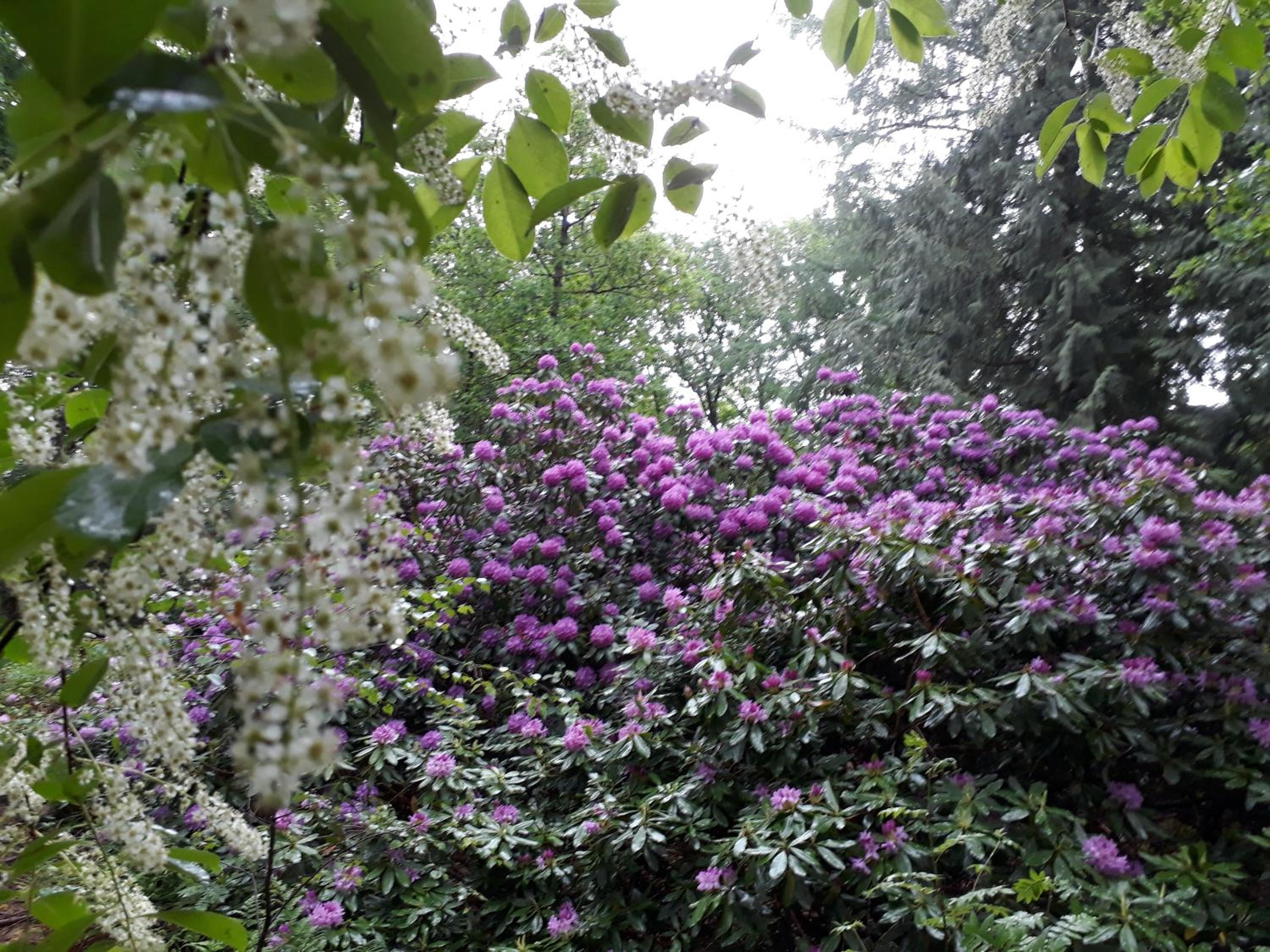 Photo 47