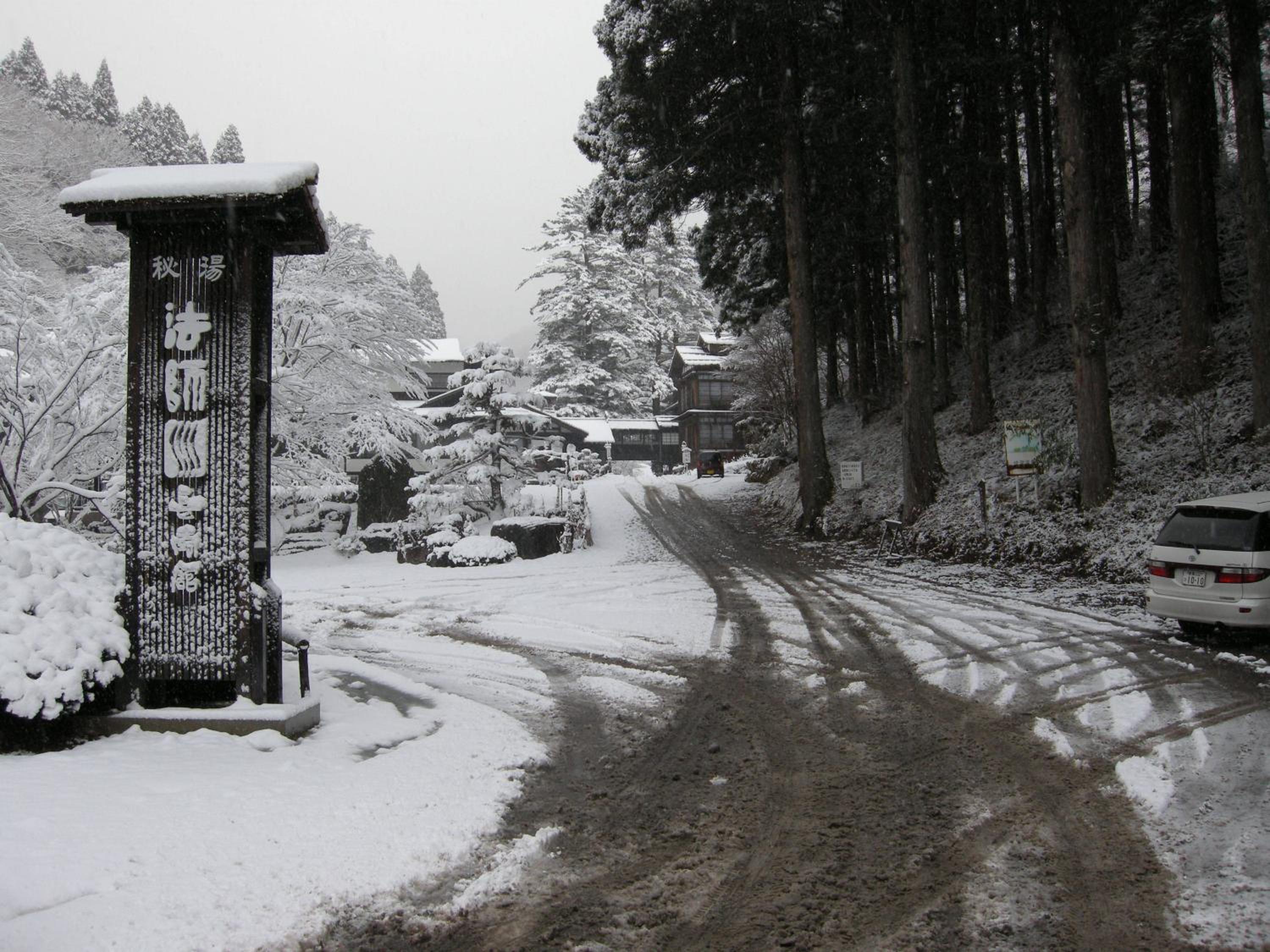 Houshi Onsen Chojukan
