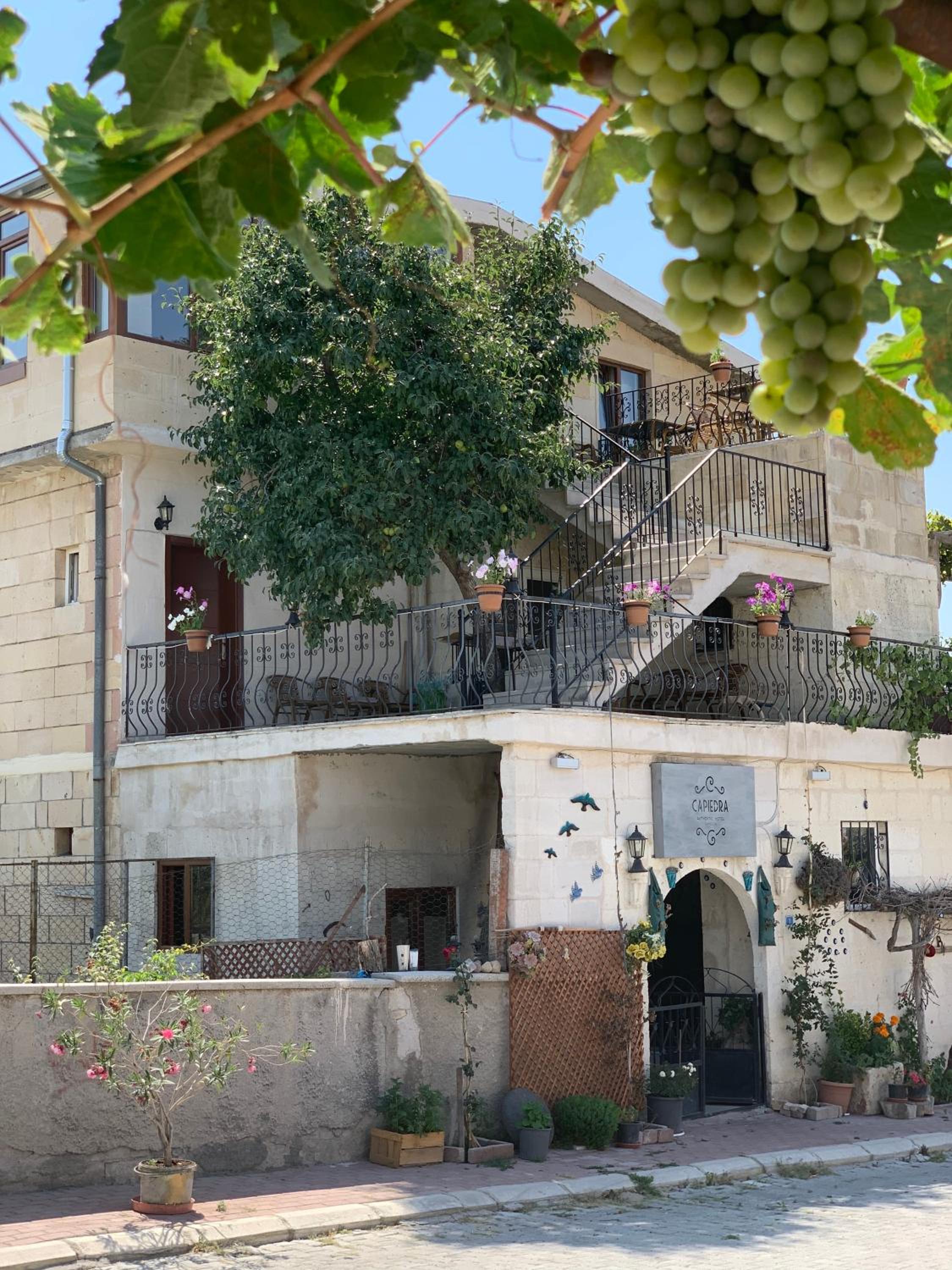 Hotel Capiedra Hotel - Image 1