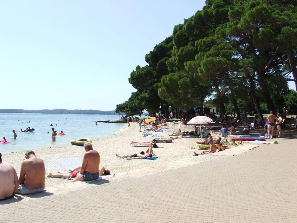 Apartments Saric