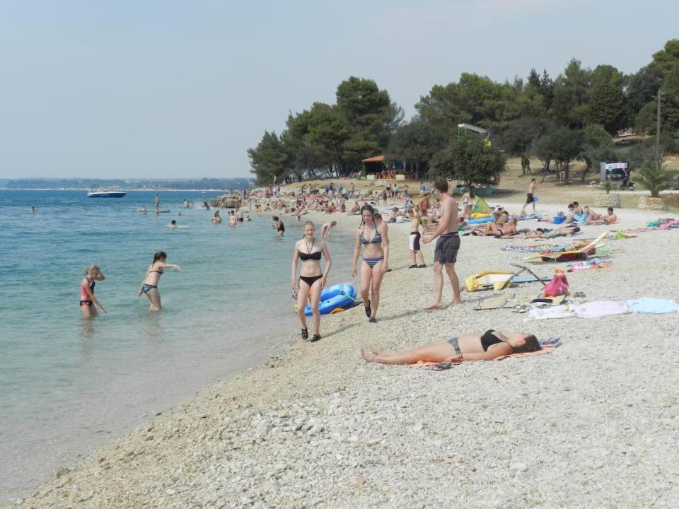 Apartments Saric