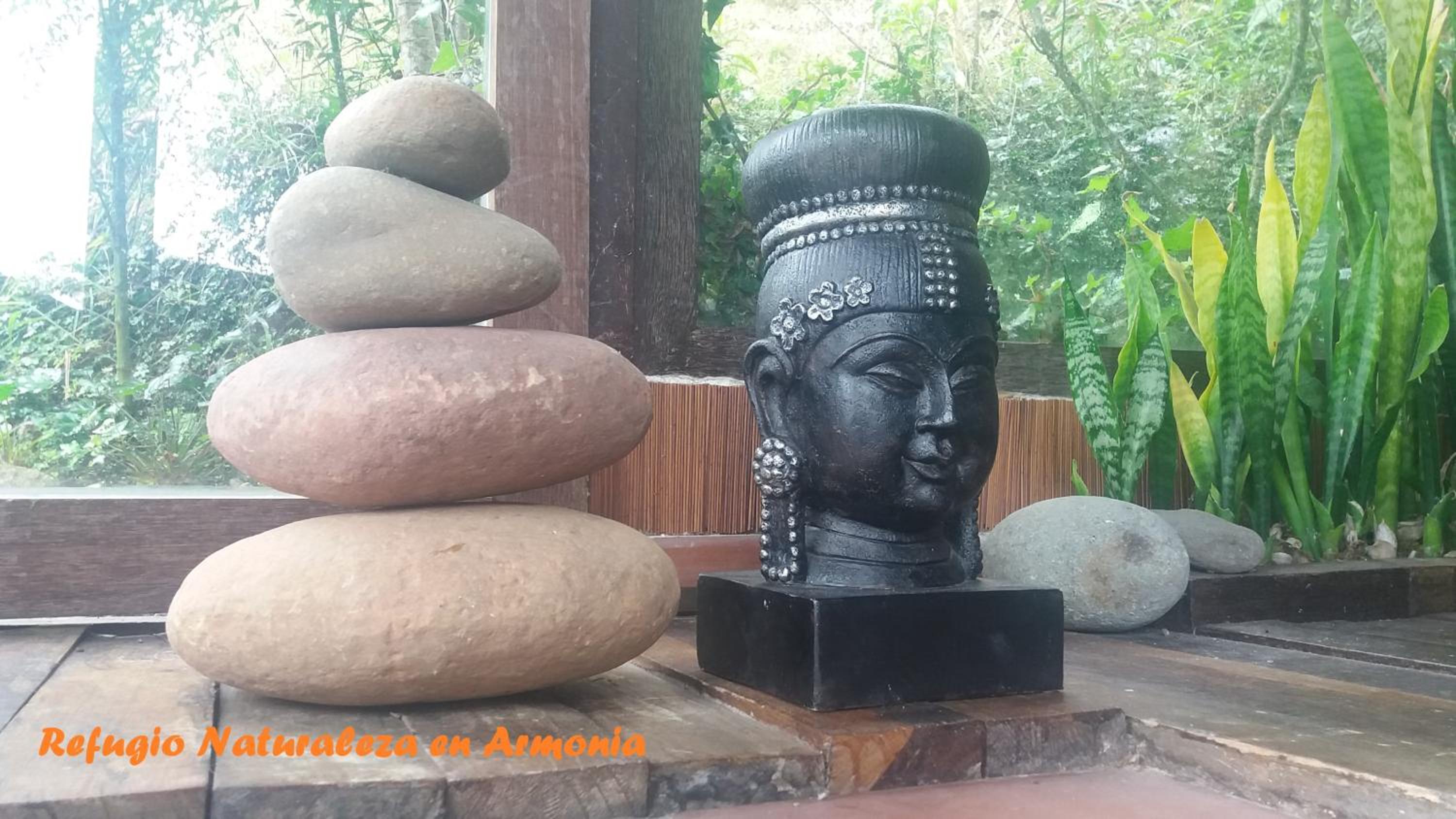Naturaleza en armonia