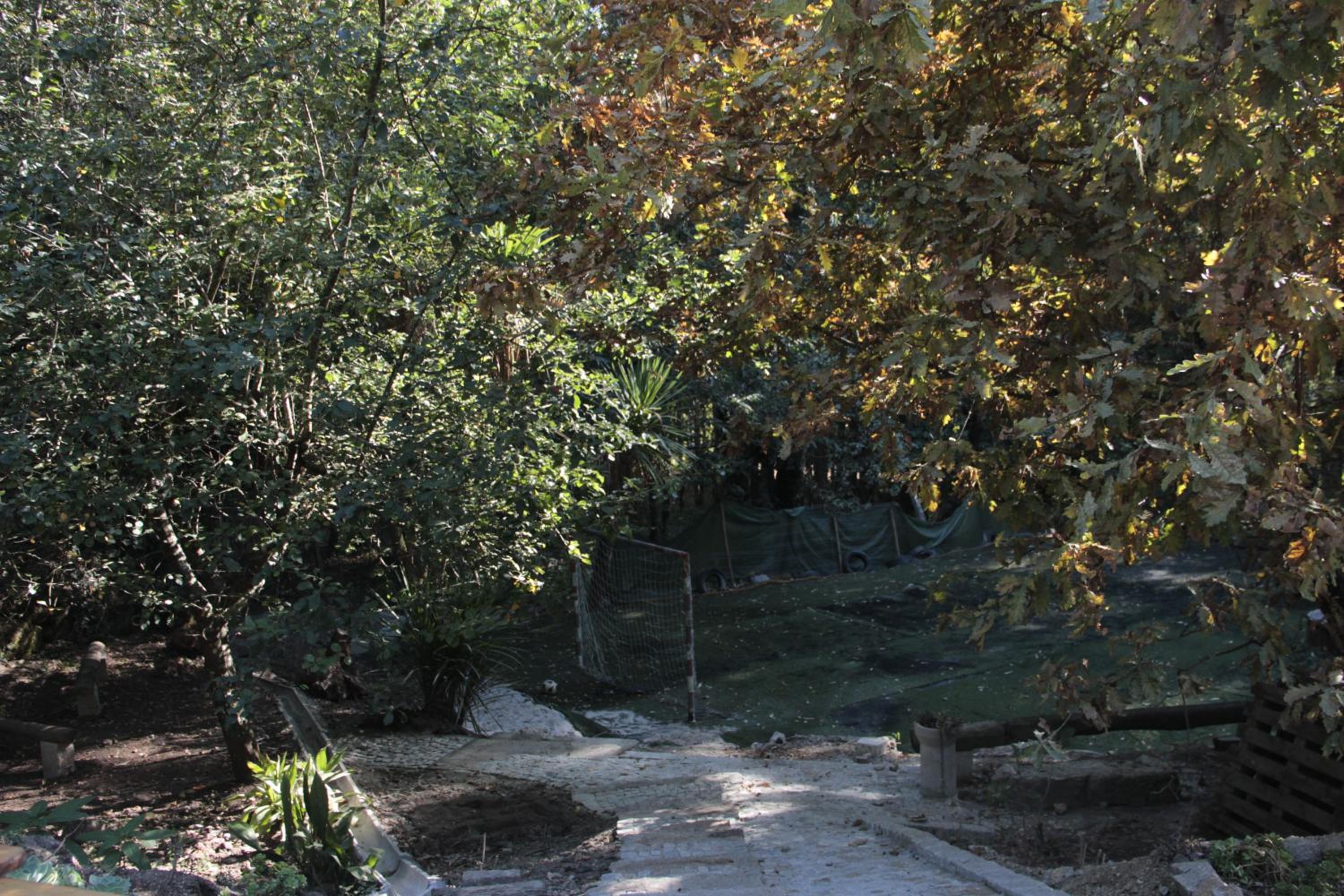 Bosque dos Amieiros view 5