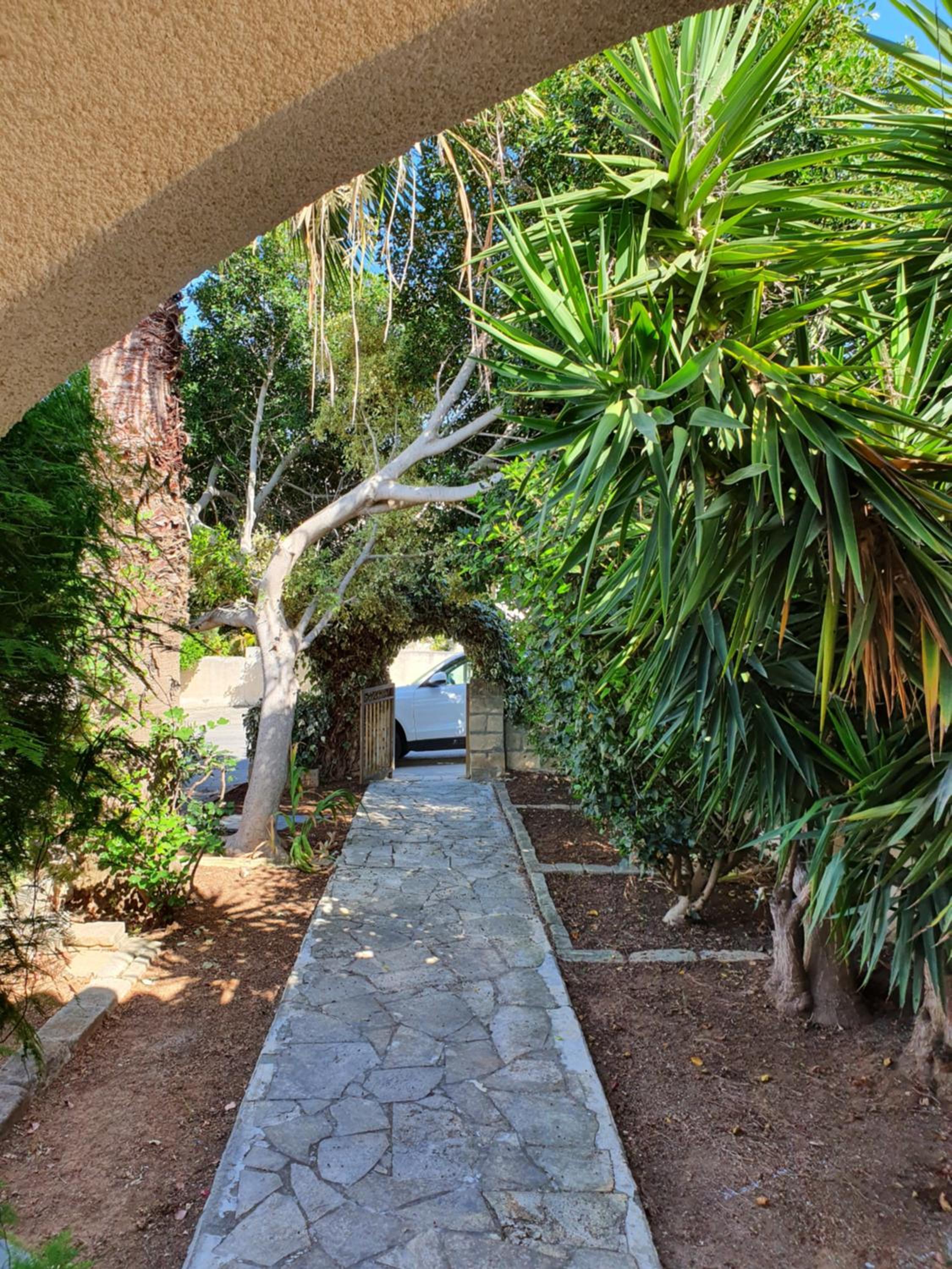 The Little House