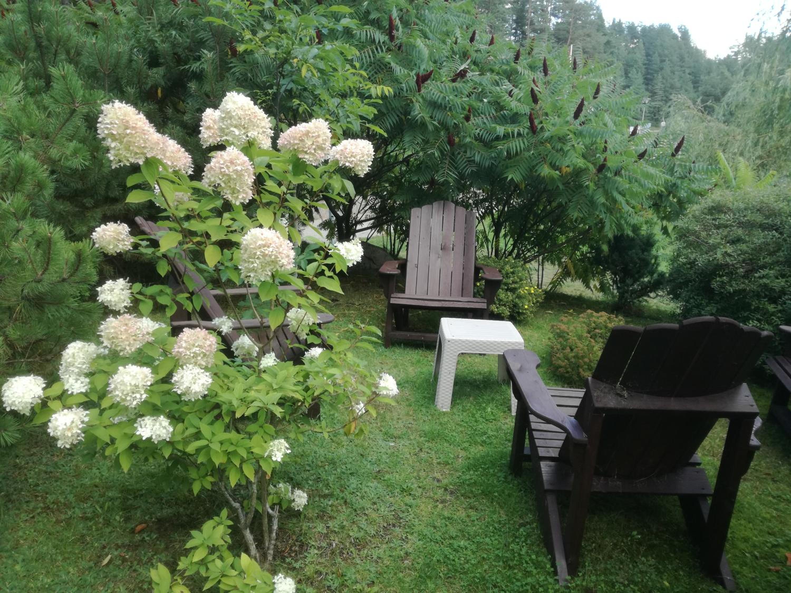 Photo 23