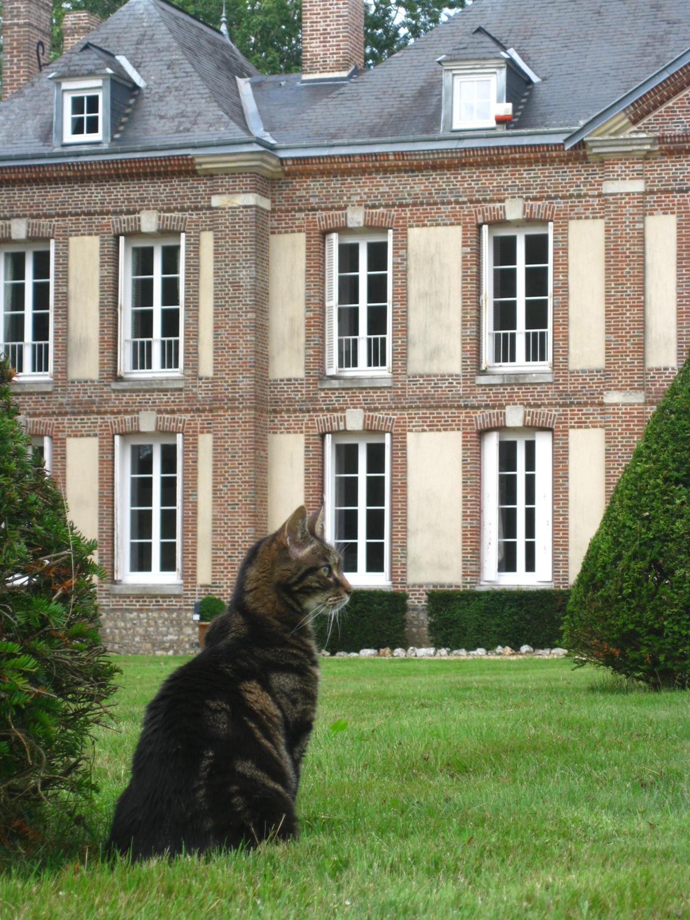 Photo 40
