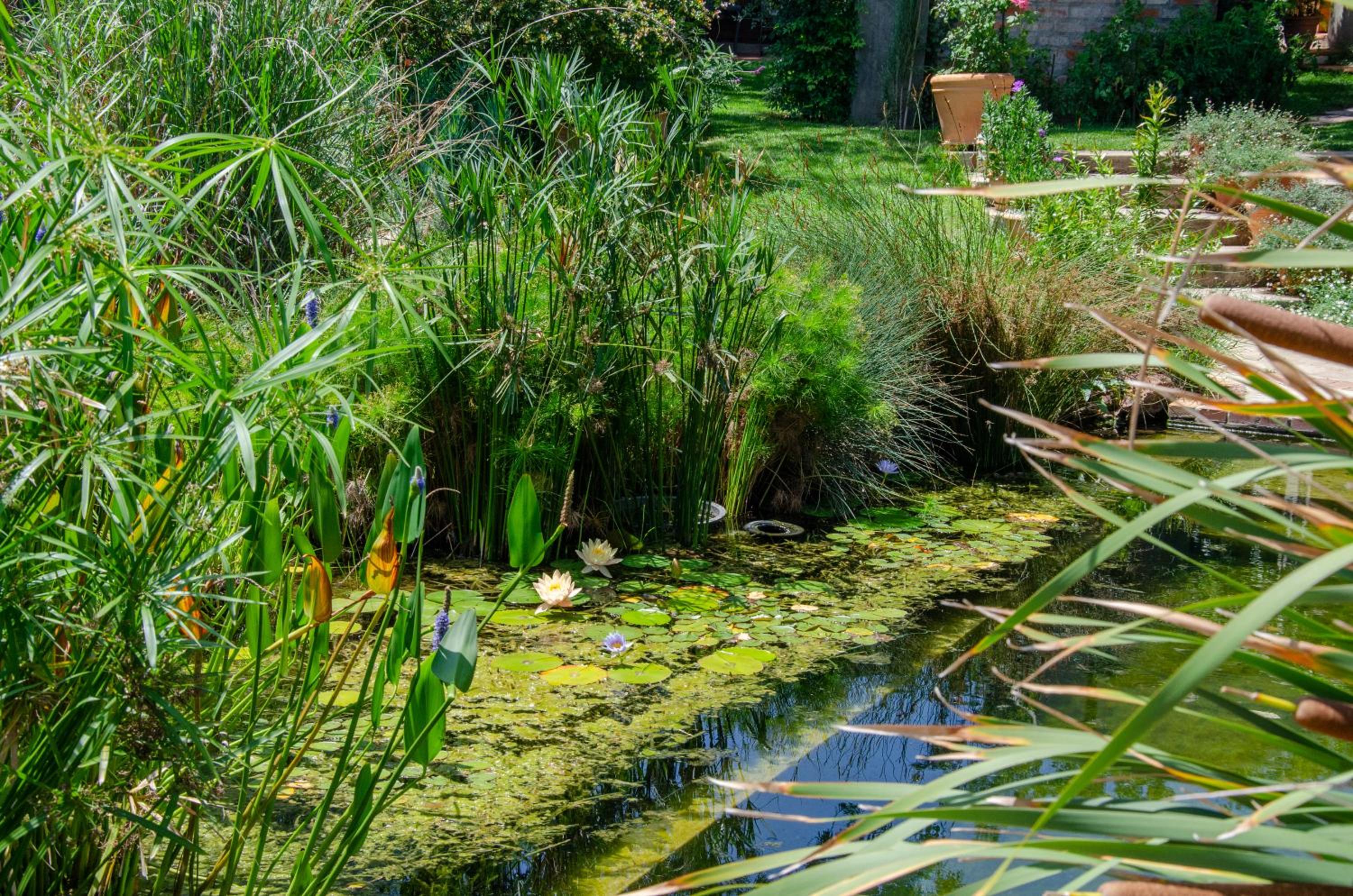 Shepherd's Corner Guest House - Tranquil Boutique Stay in Bryanston