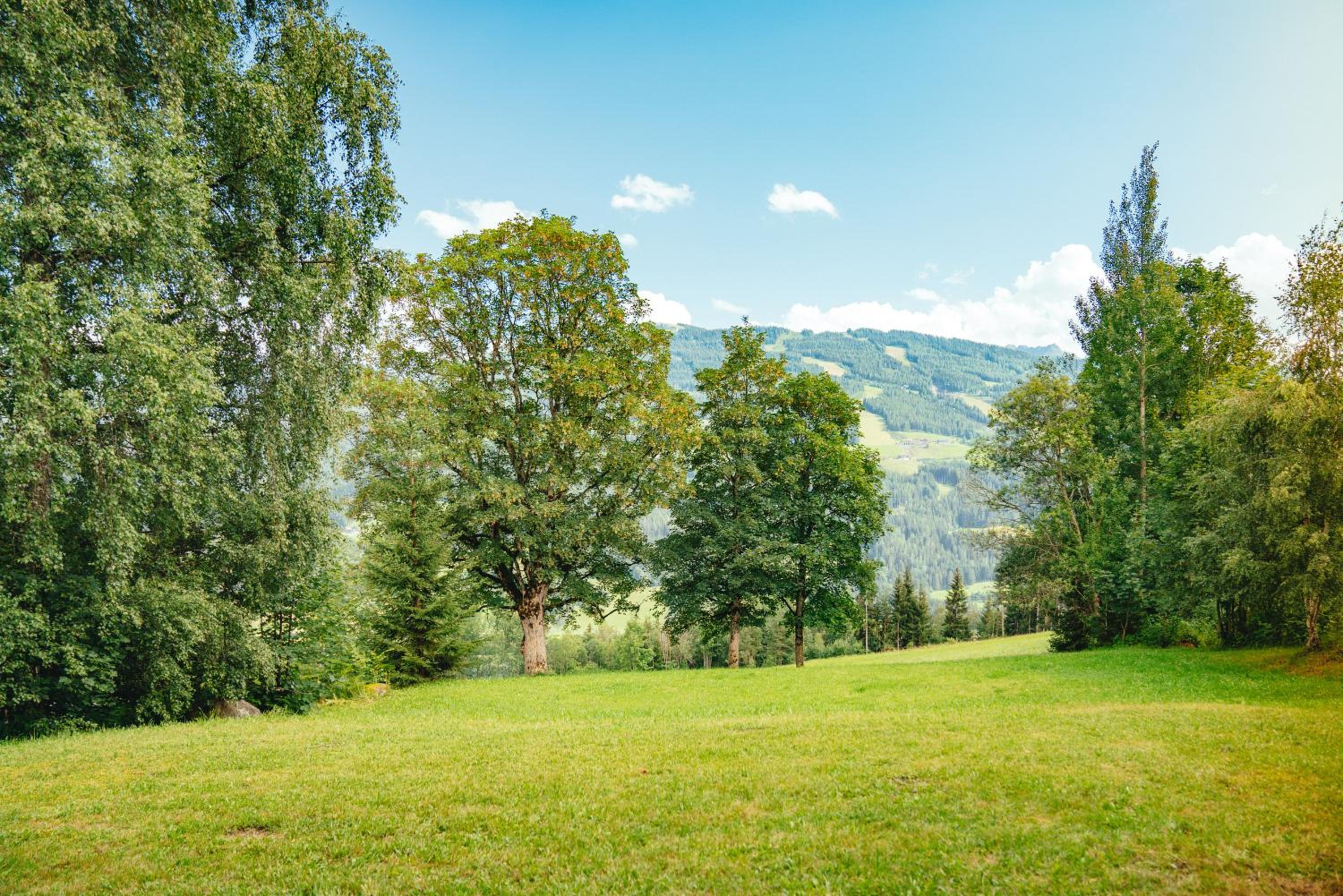 Landhaus Blaubeerhügel