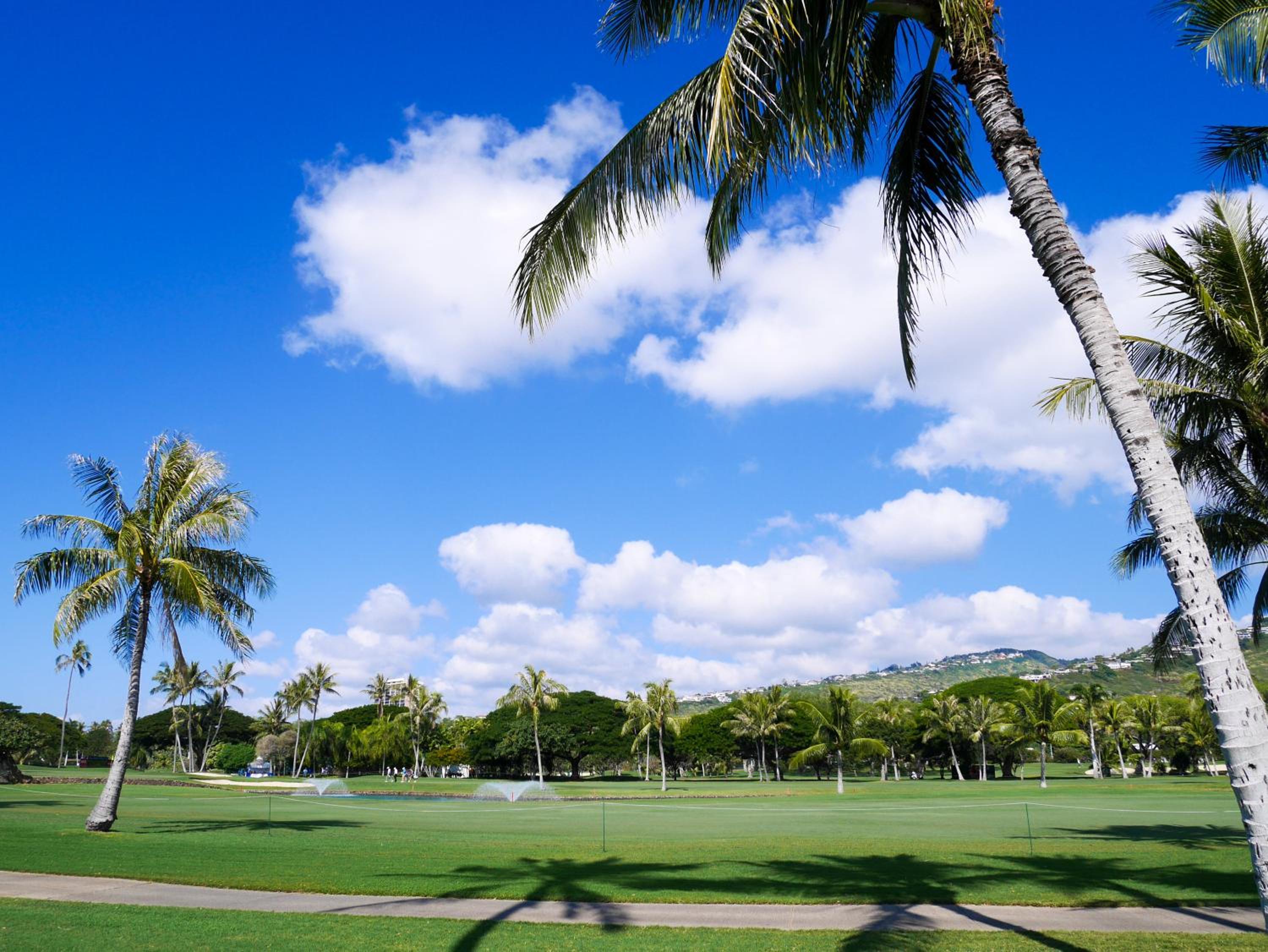 Holiday Inn Express Waikiki by IHG 2