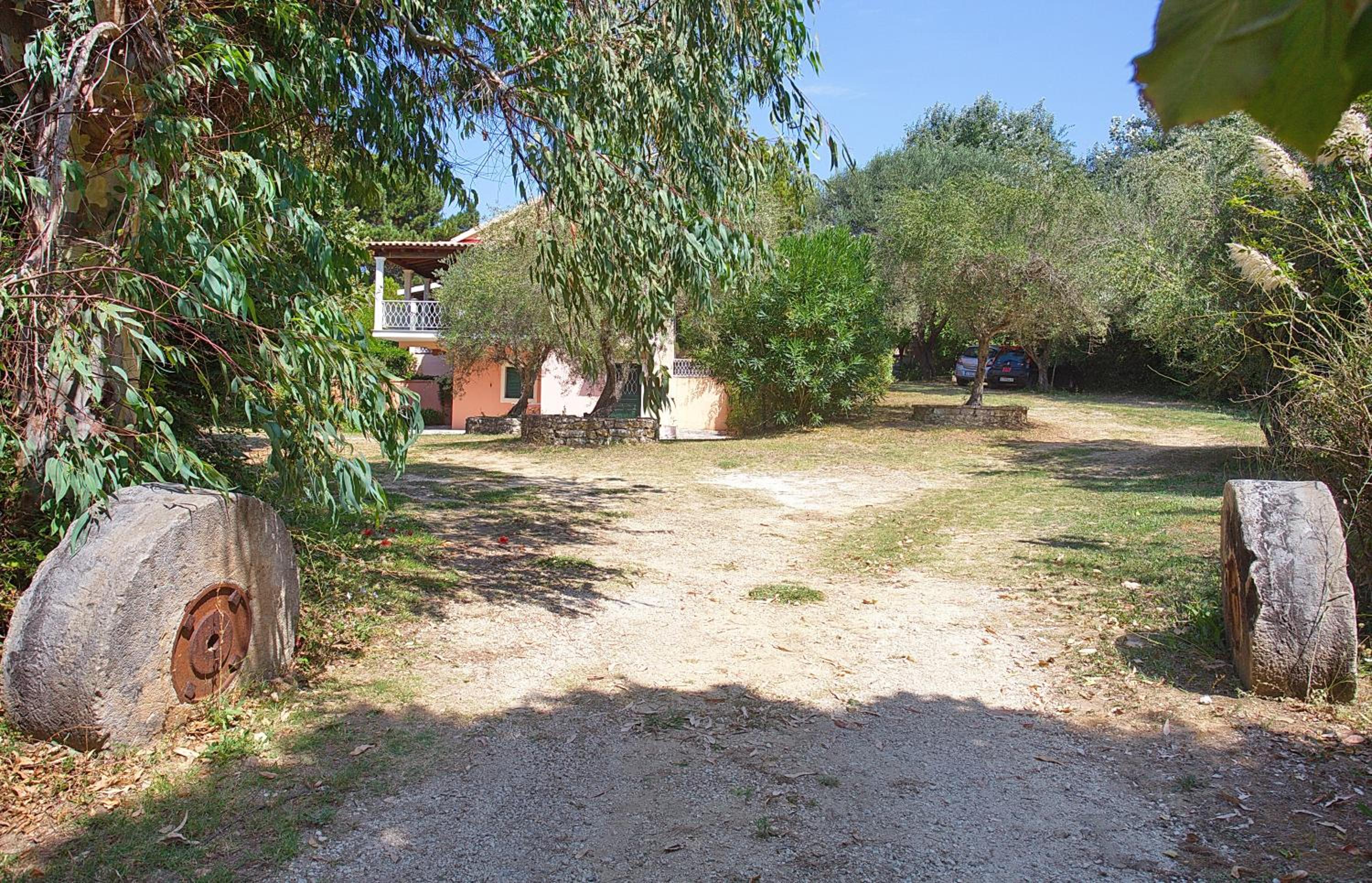 Photo 46