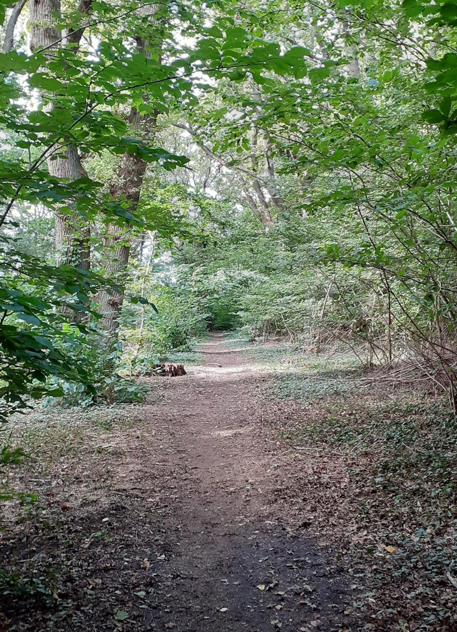 Photo 9