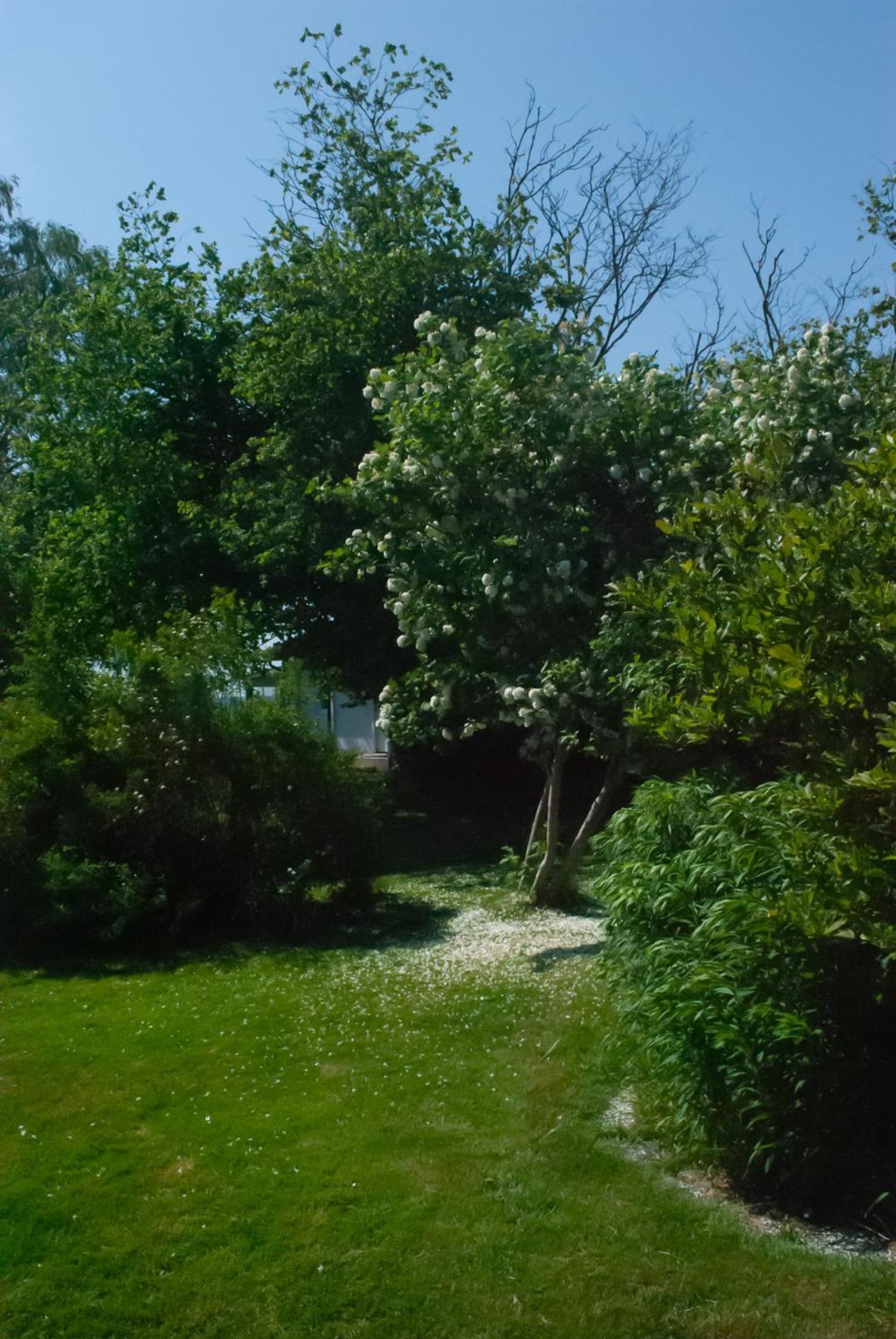 Photo 24