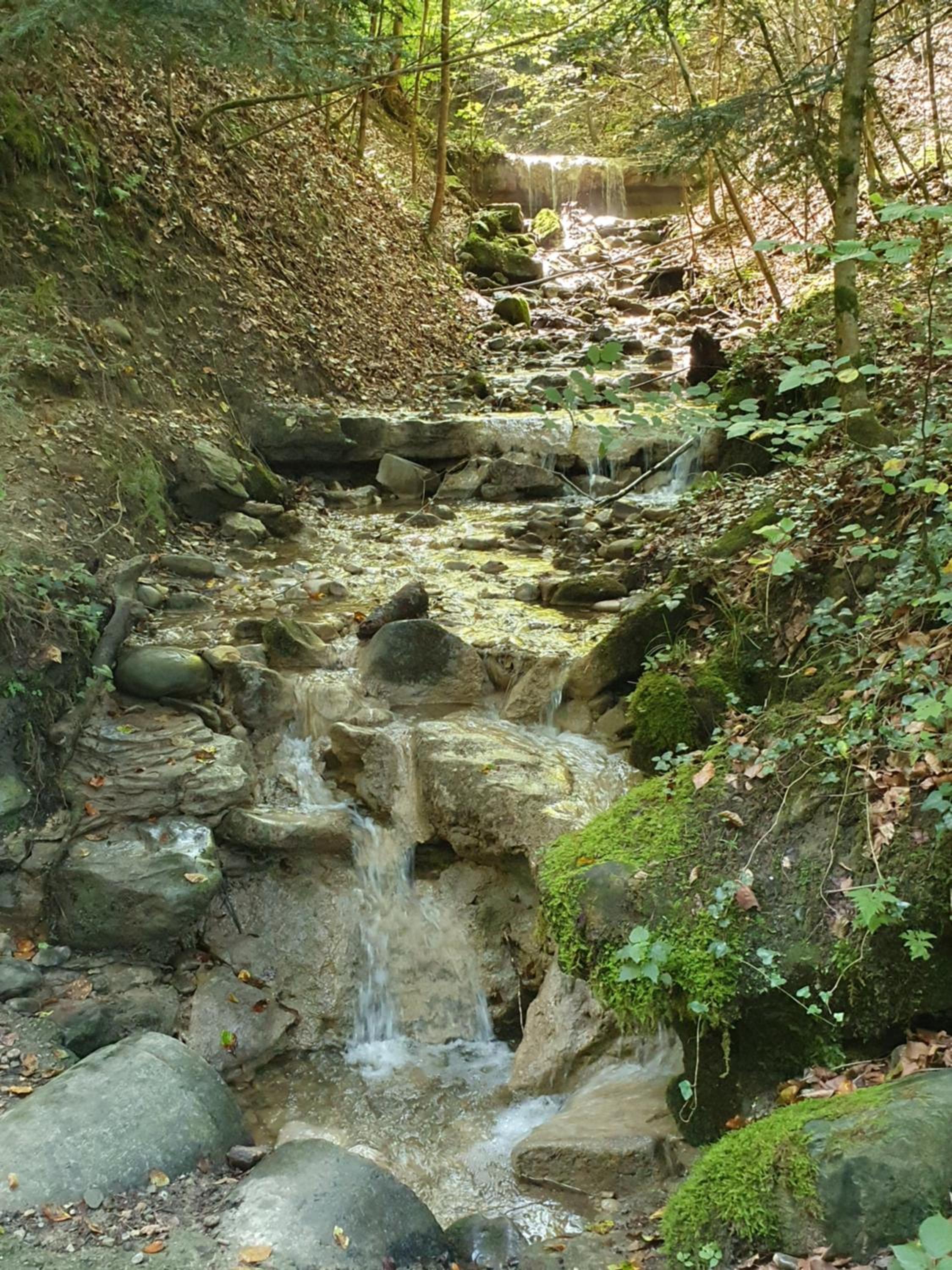 Photo 44