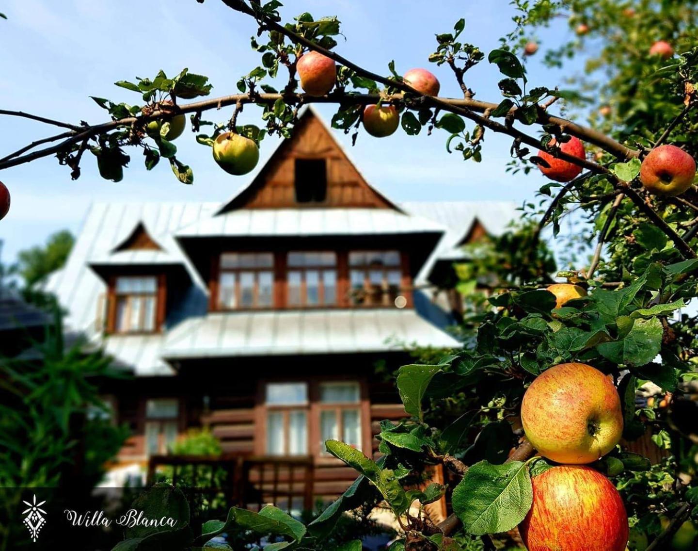 Willa Blanca Zakopane view 2