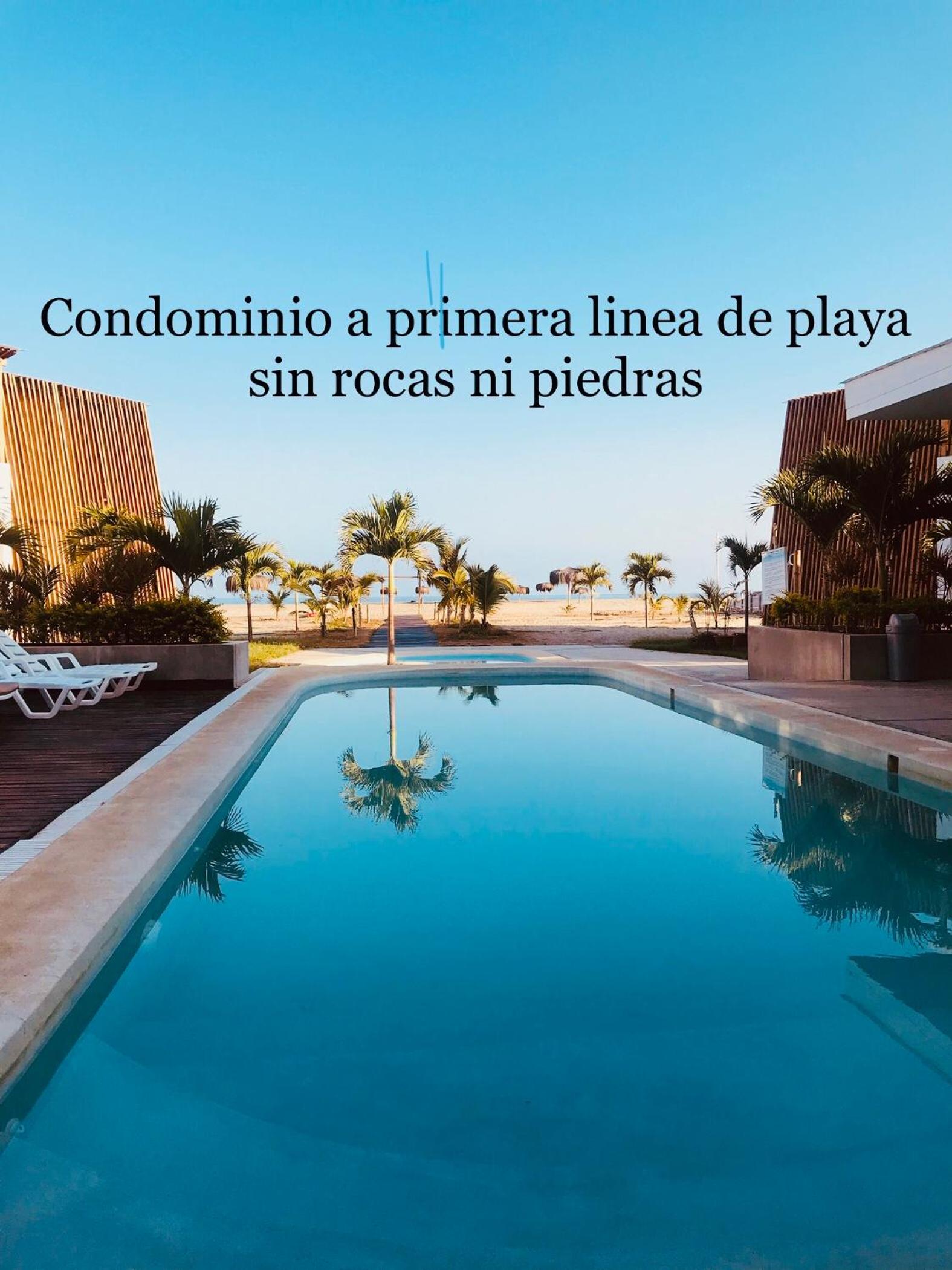 Las palmeras de bocapan