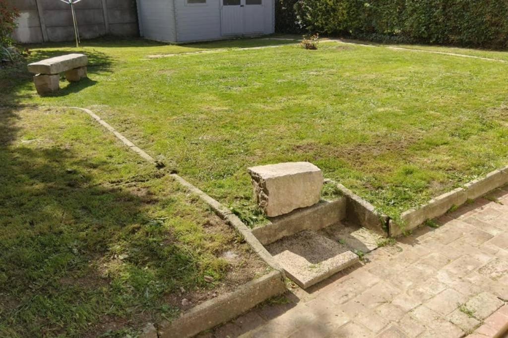 Photo 6