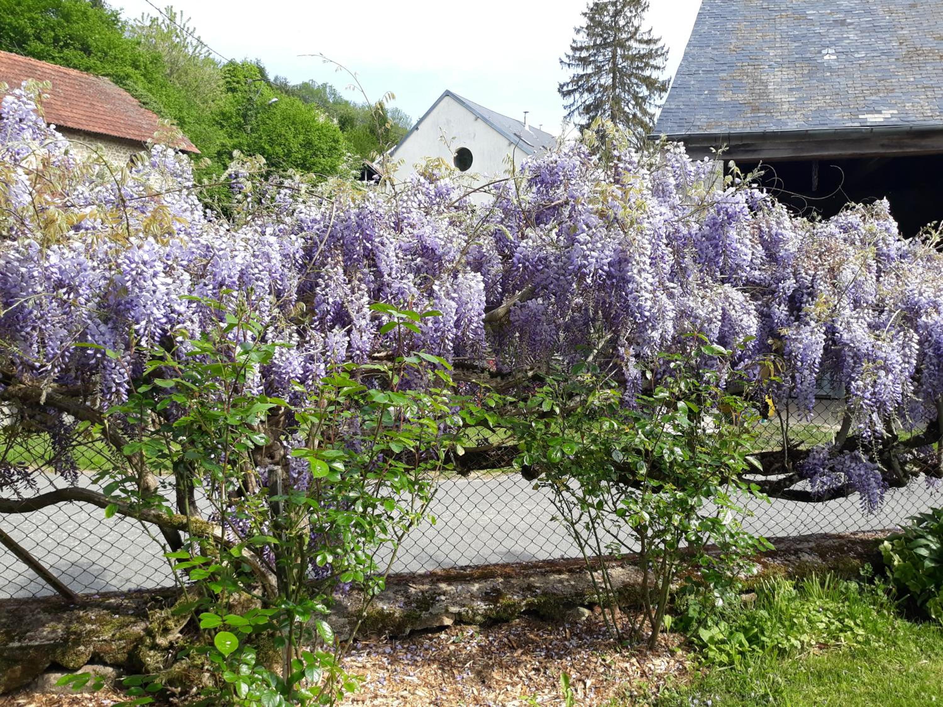 Photo 10