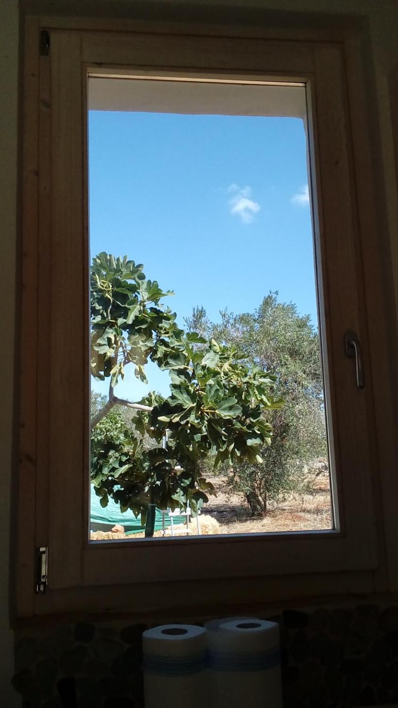 Trullo Contrada Specchi view 2