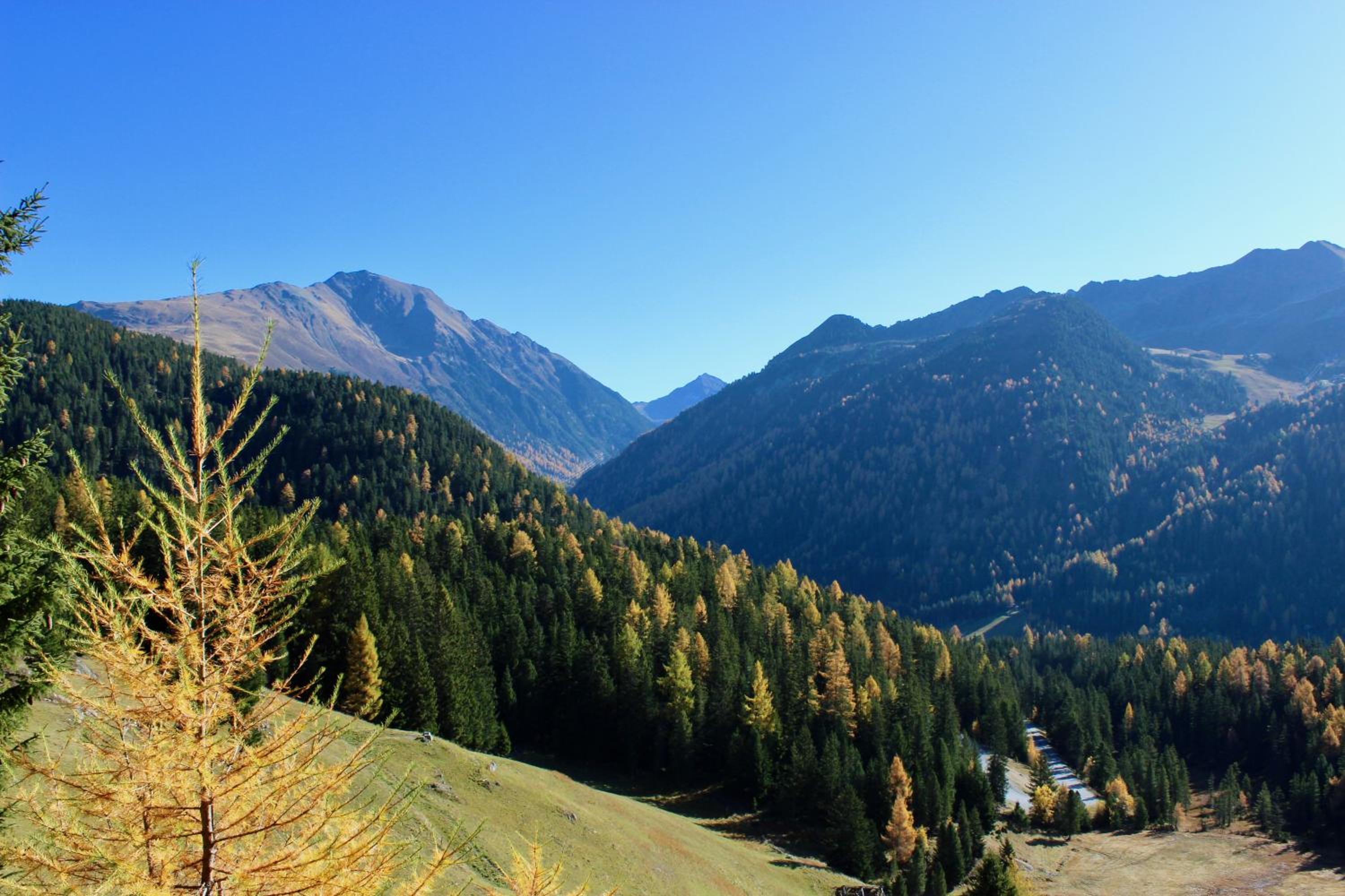 Chalet Maria