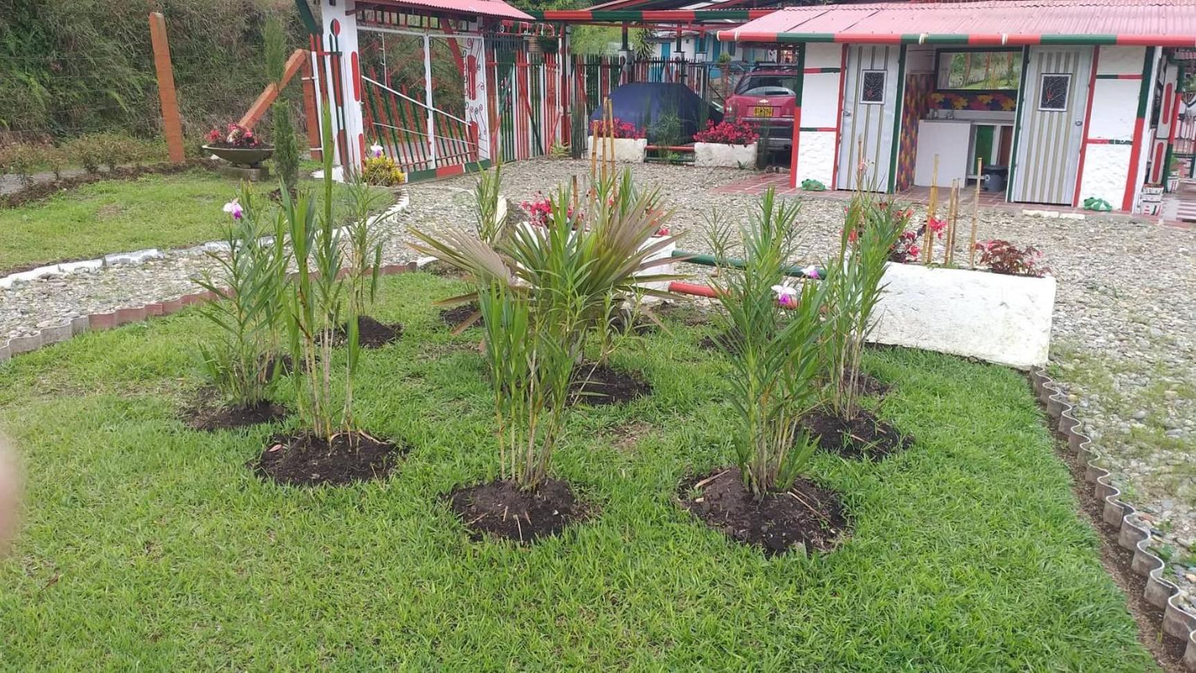 Alojamiento Campestre LA PASTORA