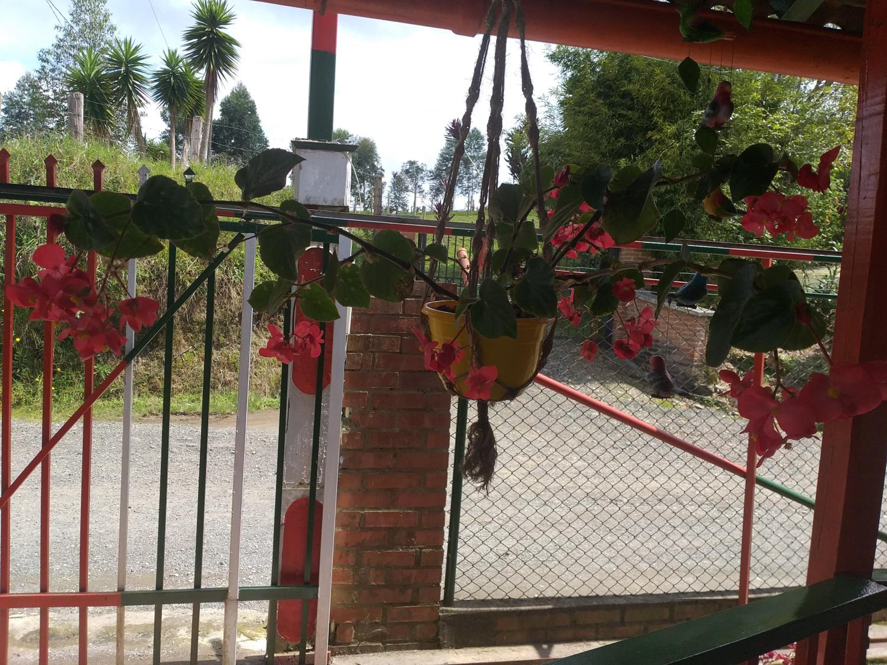 Alojamiento Campestre LA PASTORA