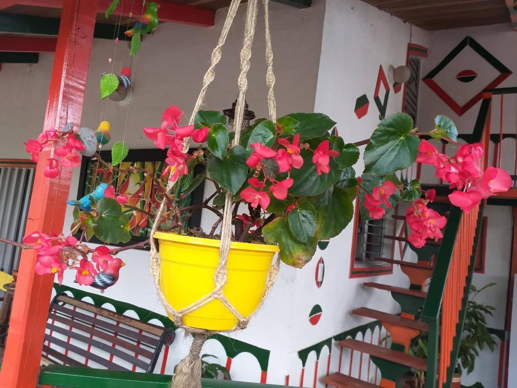 Alojamiento Campestre LA PASTORA
