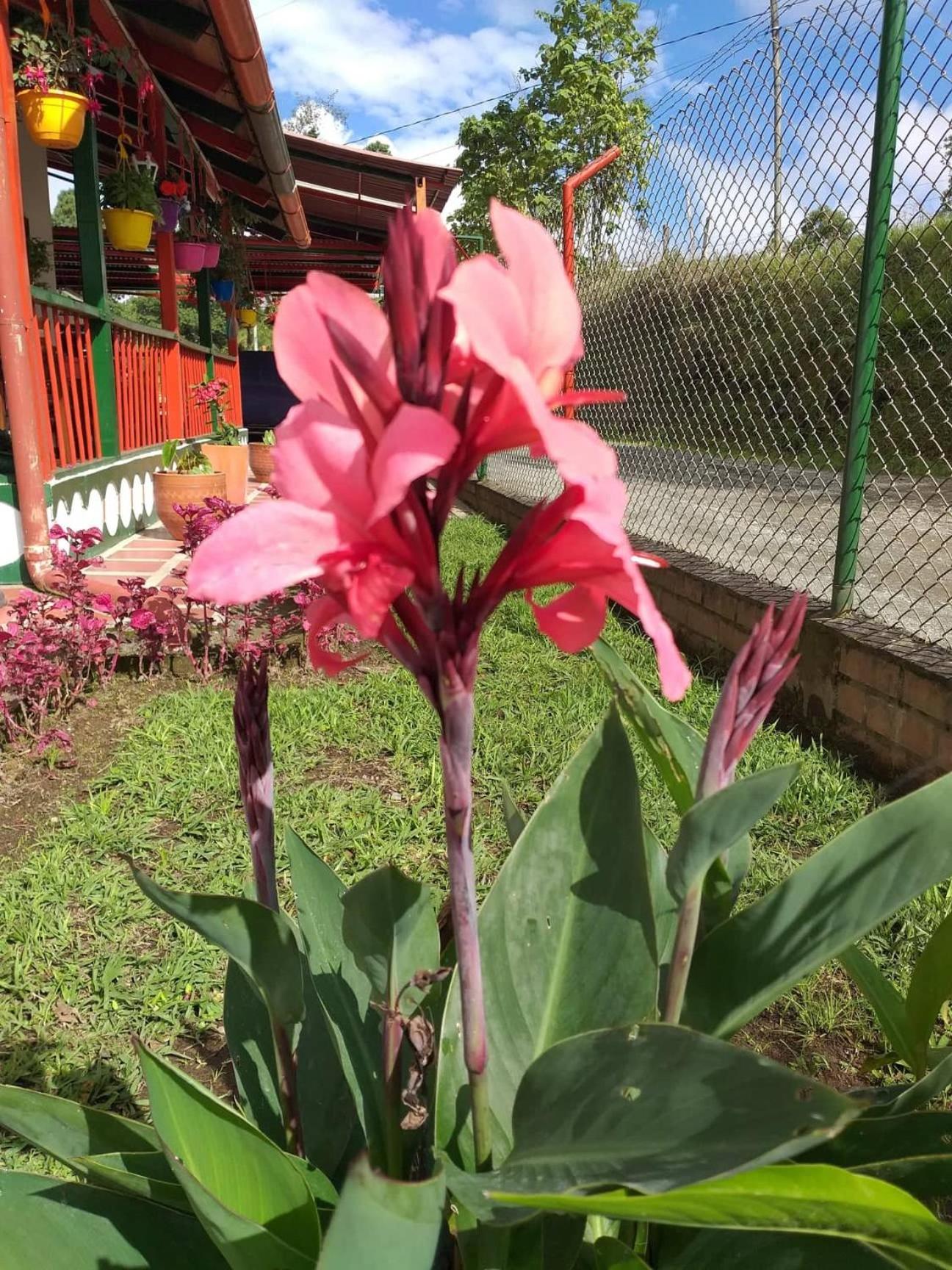 Alojamiento Campestre LA PASTORA