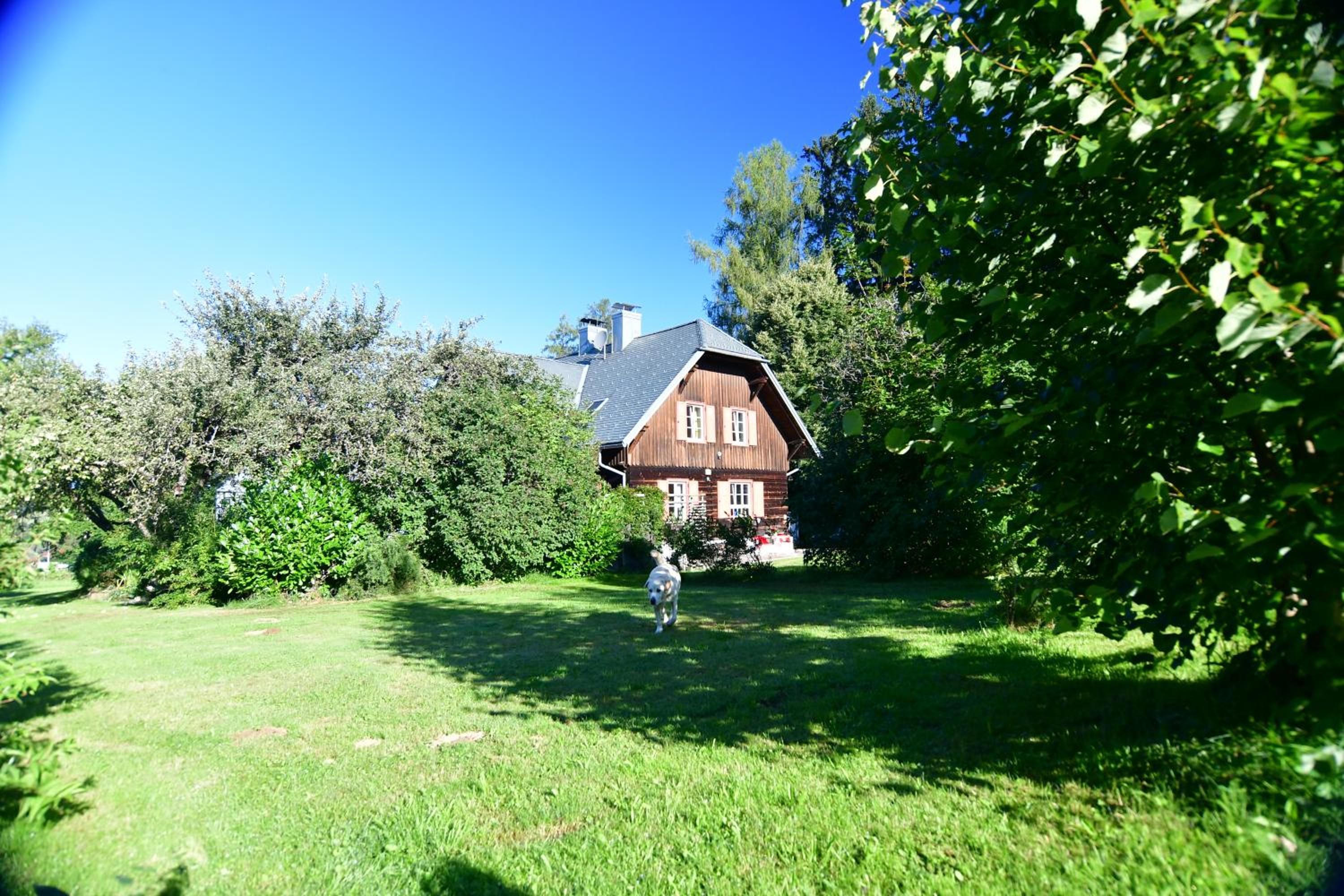 Naturforsthaus Ferienwohnung für Hunde- und tierverbundene Menschen
