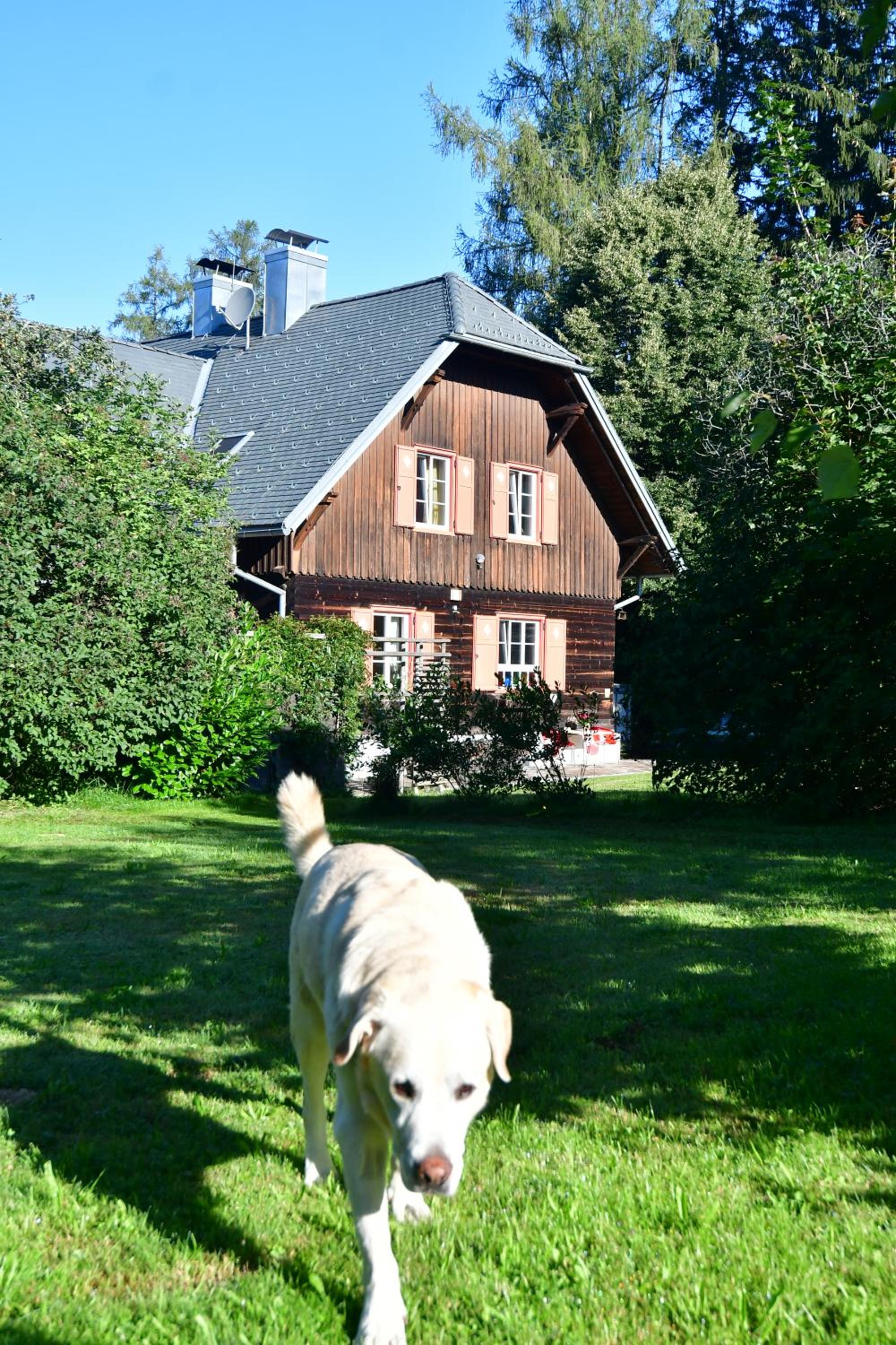 Naturforsthaus Ferienwohnung für Hunde- und tierverbundene Menschen