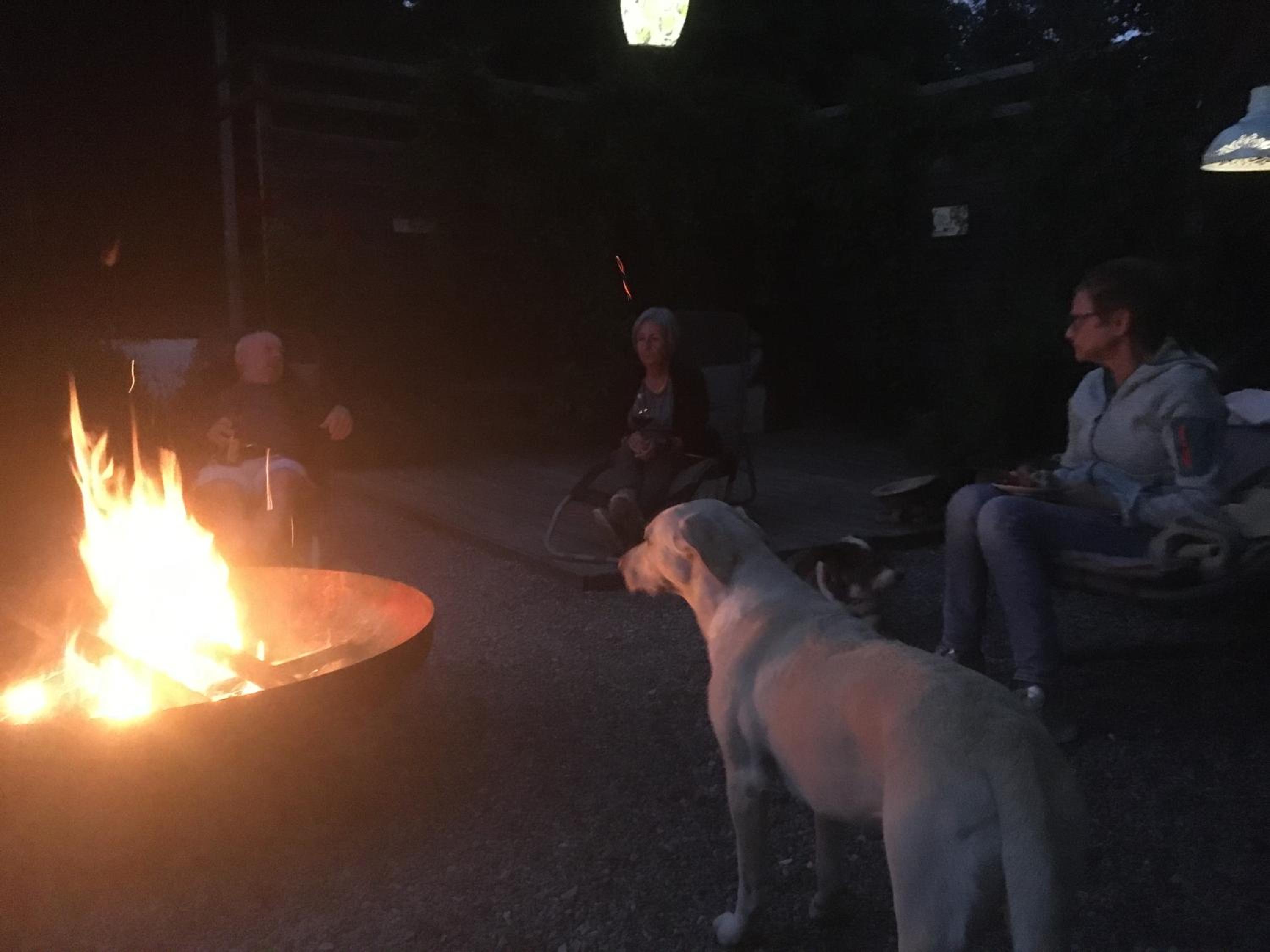 Naturforsthaus Eddas Zimmer für Hunde - und naturverbundene Menschen