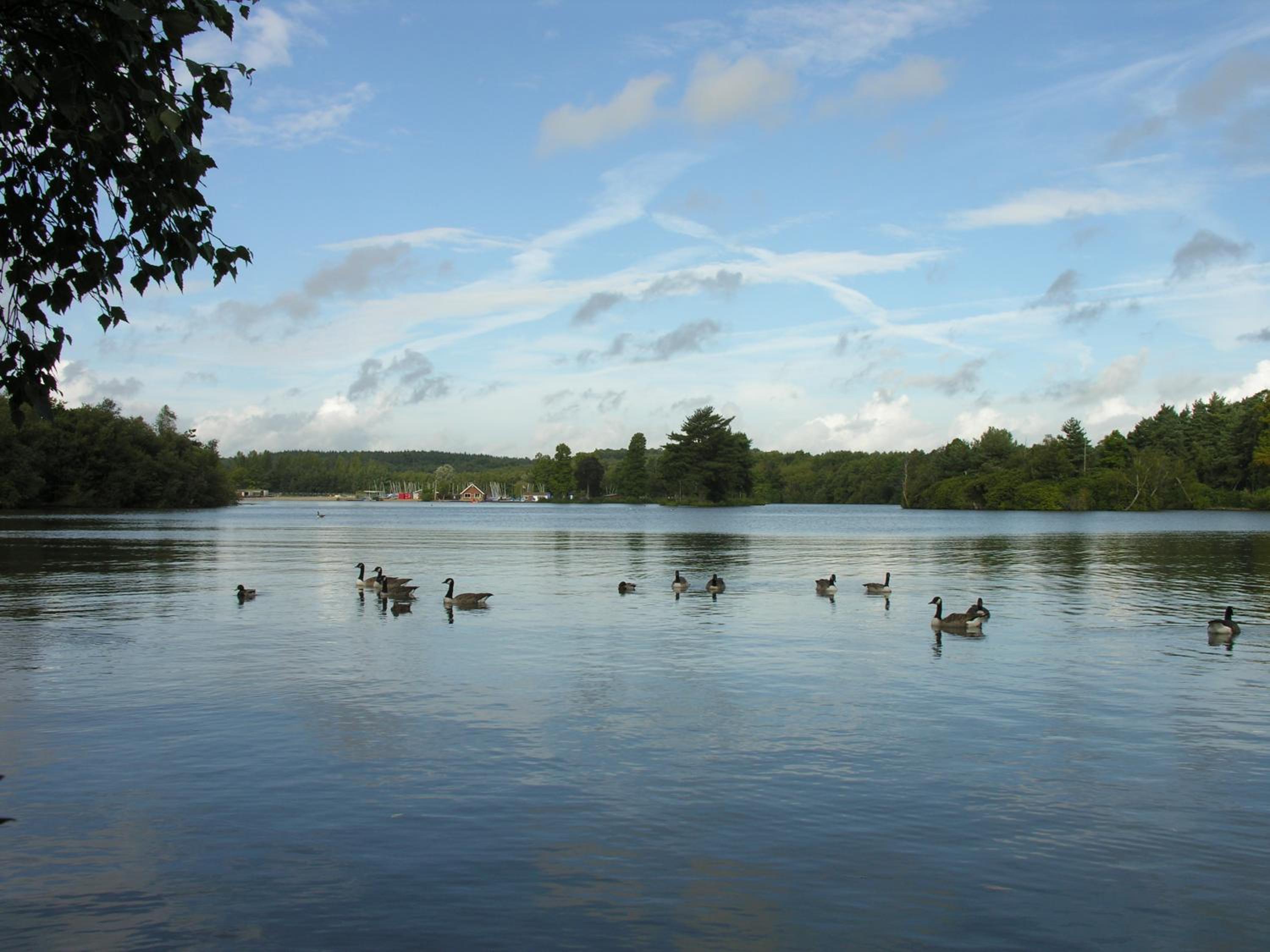 Abacus Bed and Breakfast, Blackwater, Hampshire