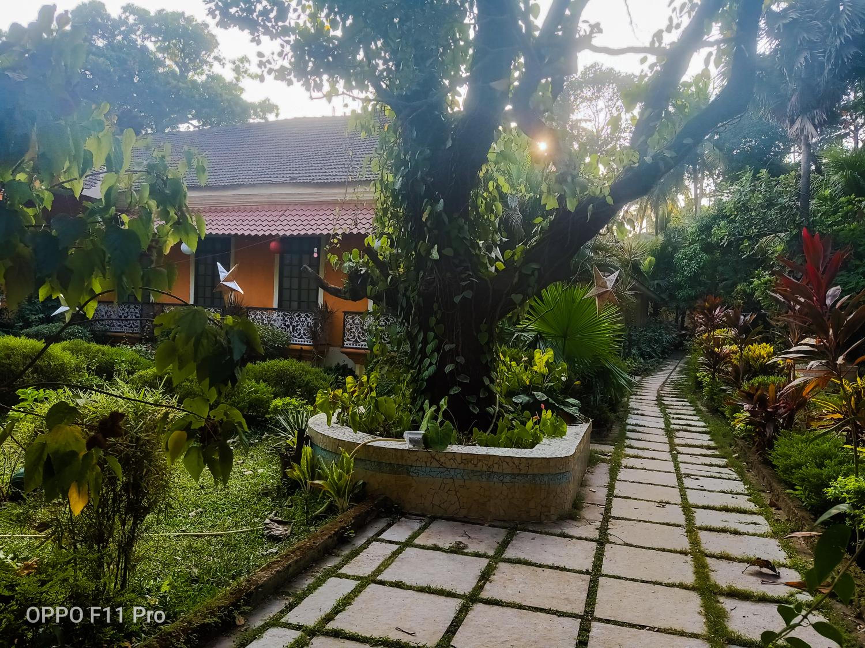 Country Side Inn Portuguese Guest House view 5