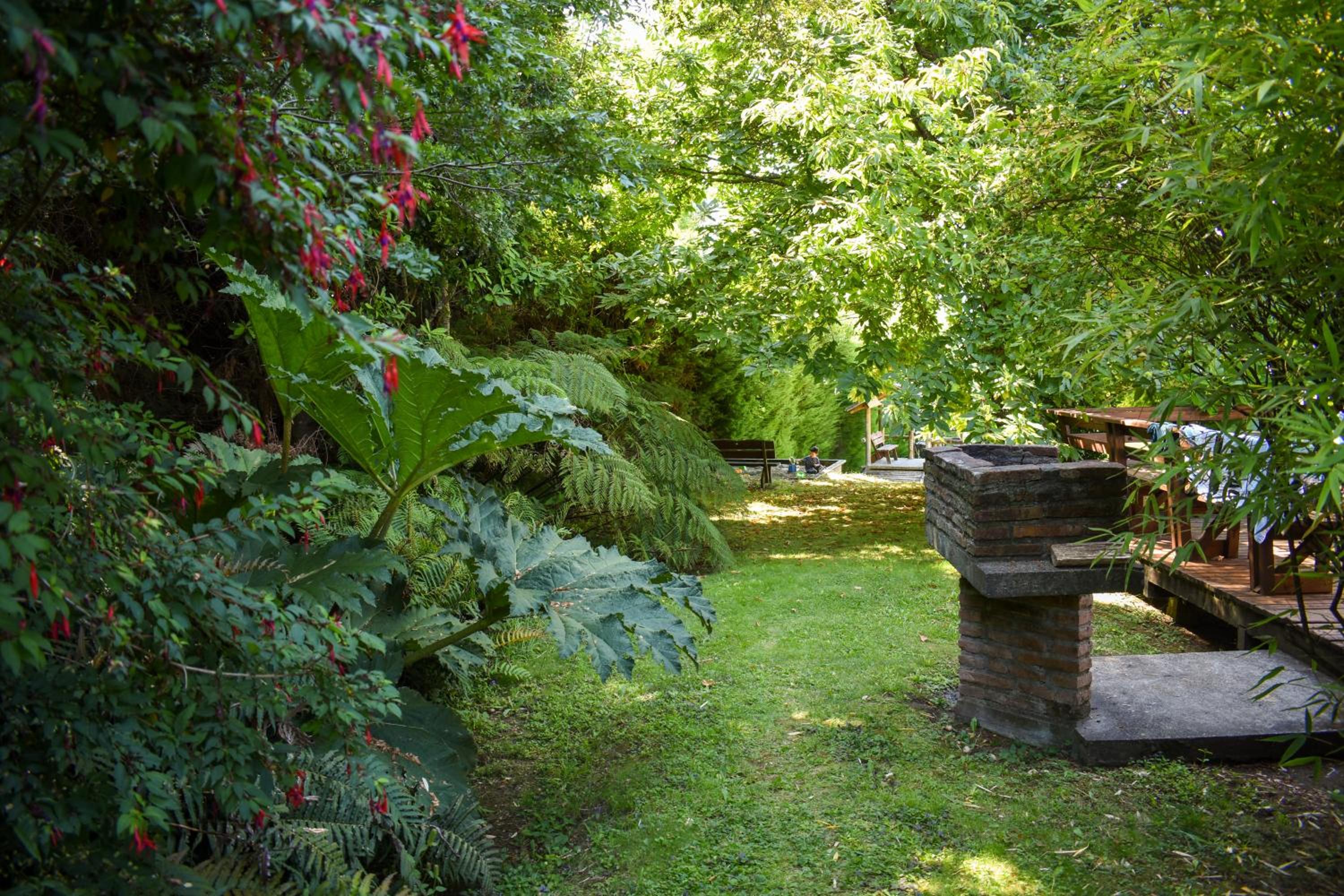 Cabañas Monte Verde