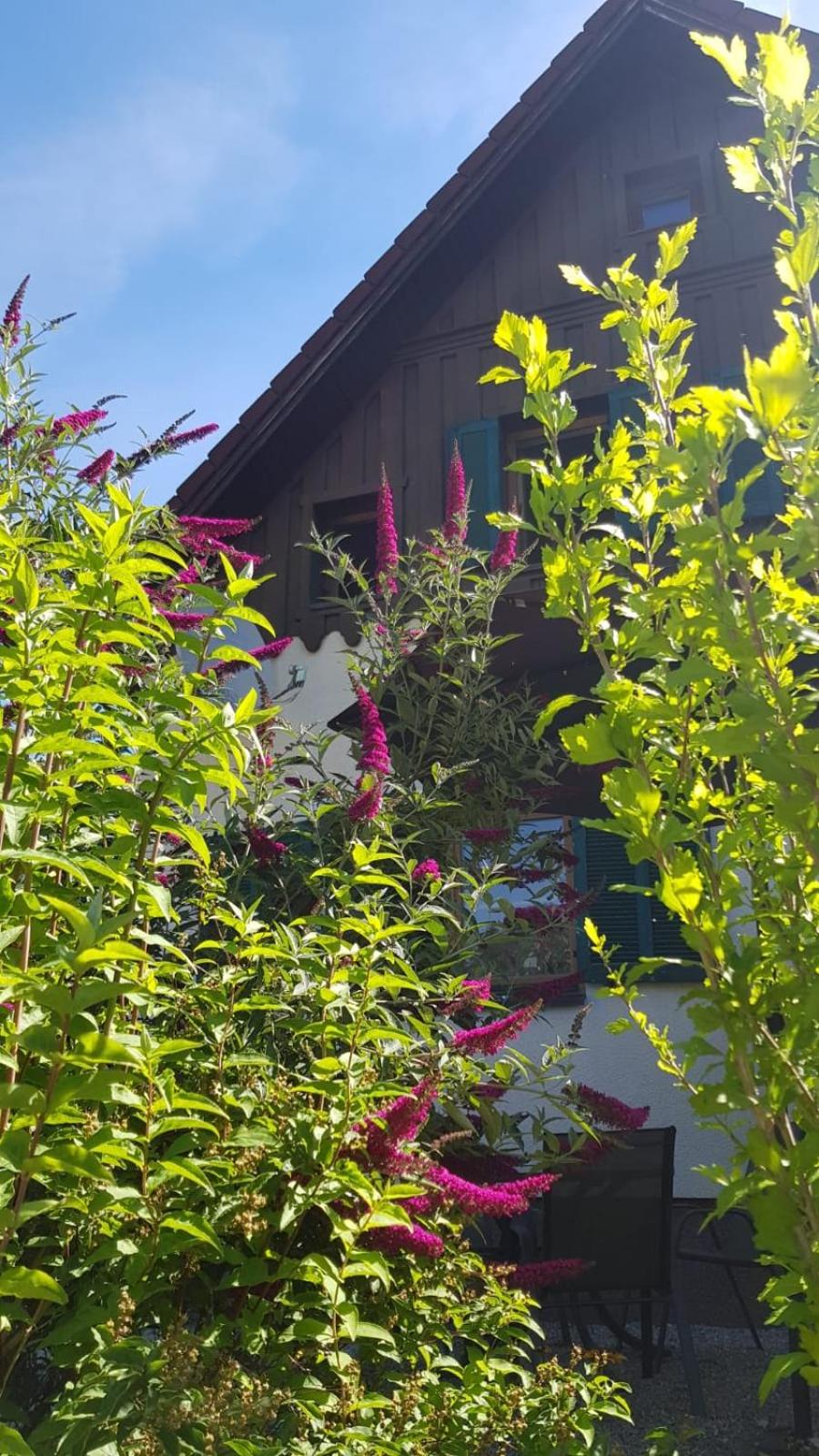 CHILL&SLEEP Bad Ischl