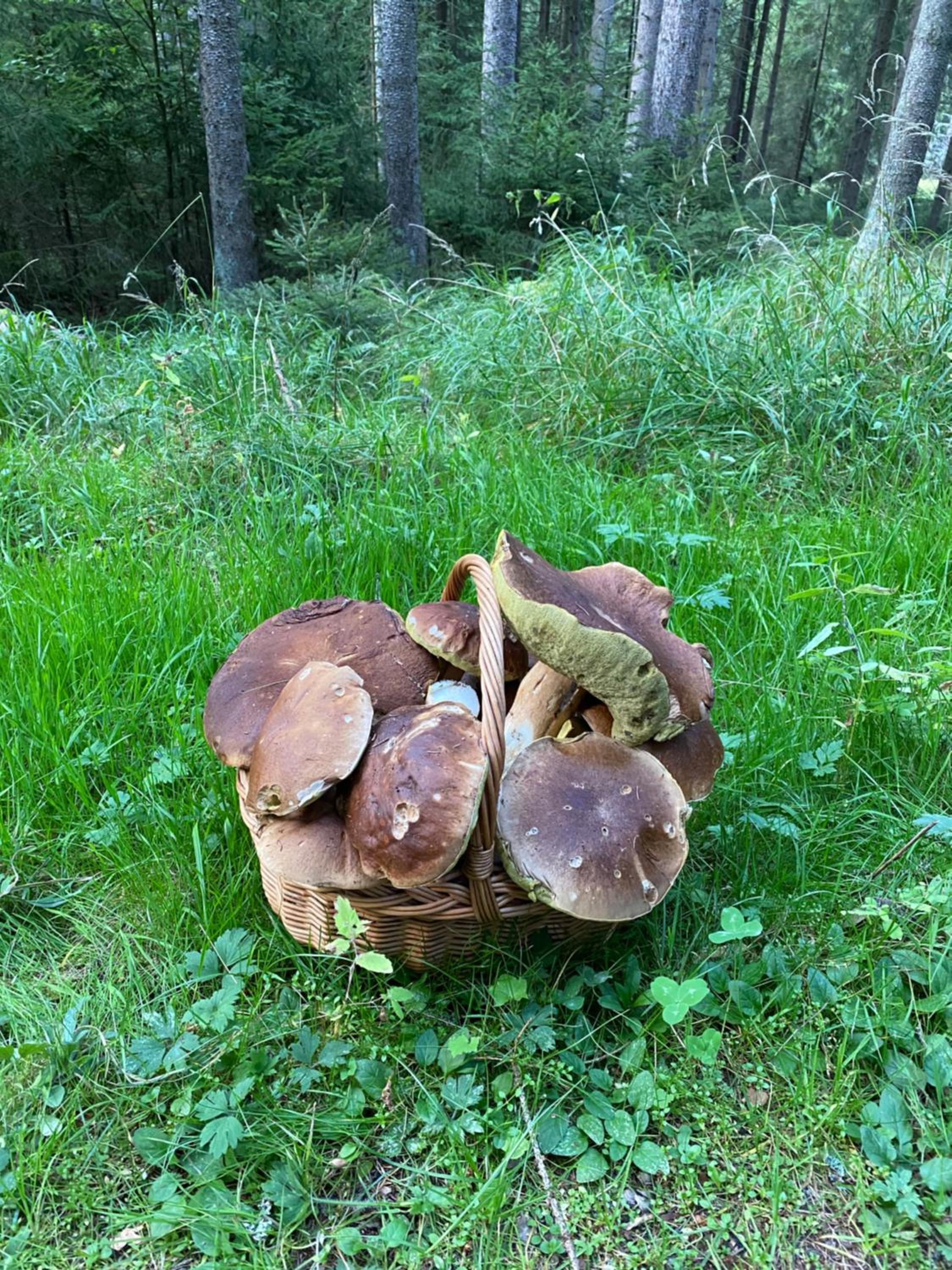 Čtyři pokoje
