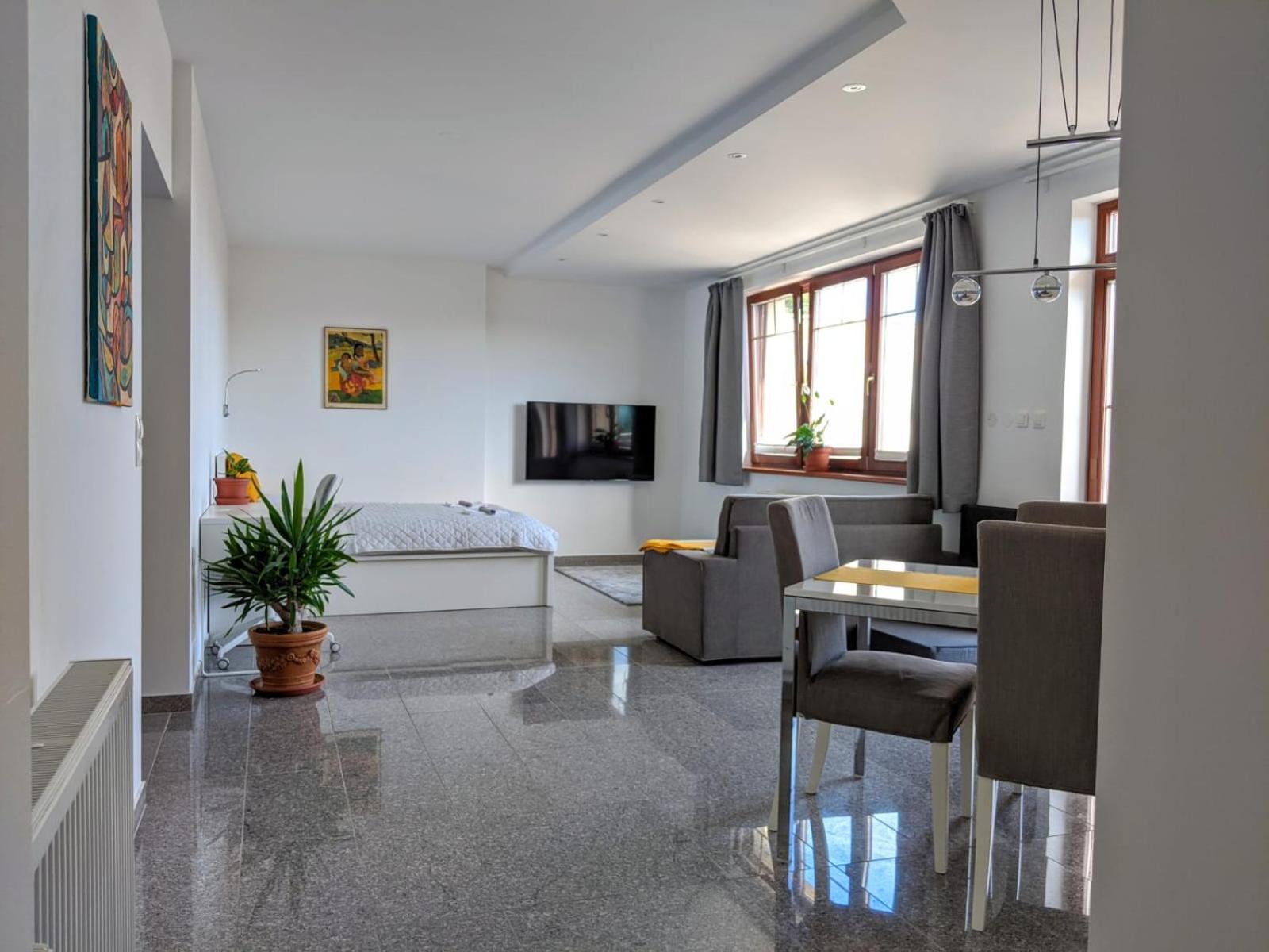ClearVueHome Apartments Bratislava Slavin view 2