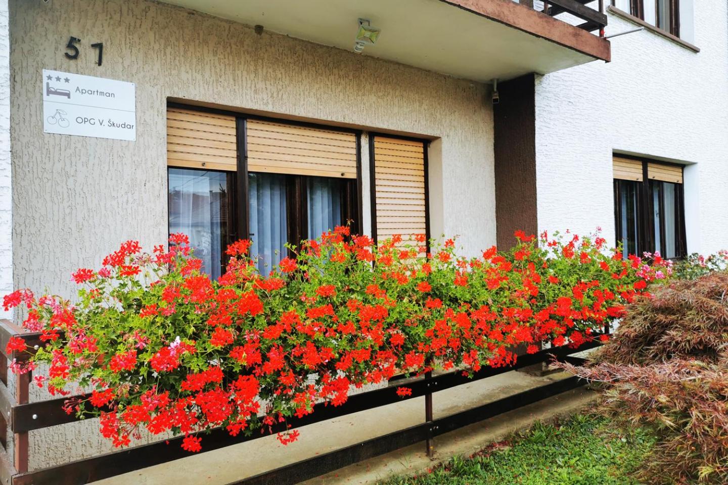 Apartman Škudar